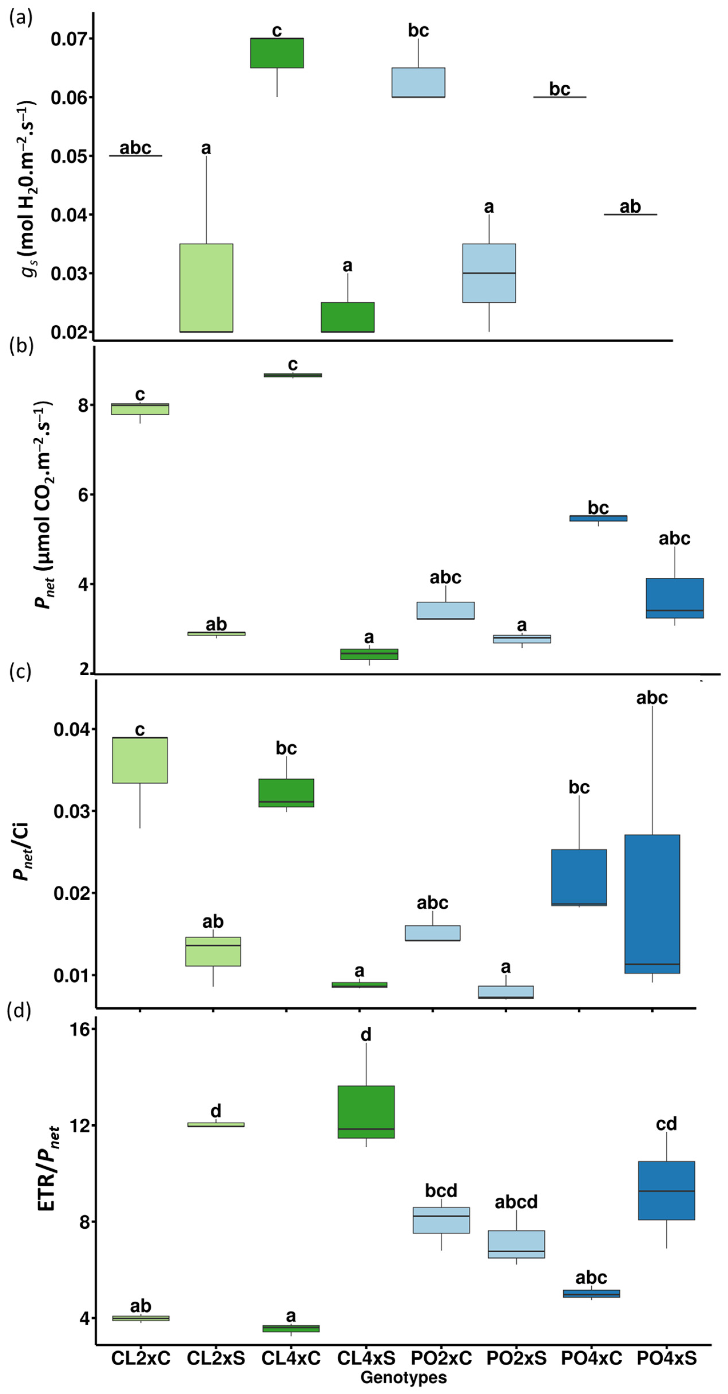 Antioxidants 12 01640 g006