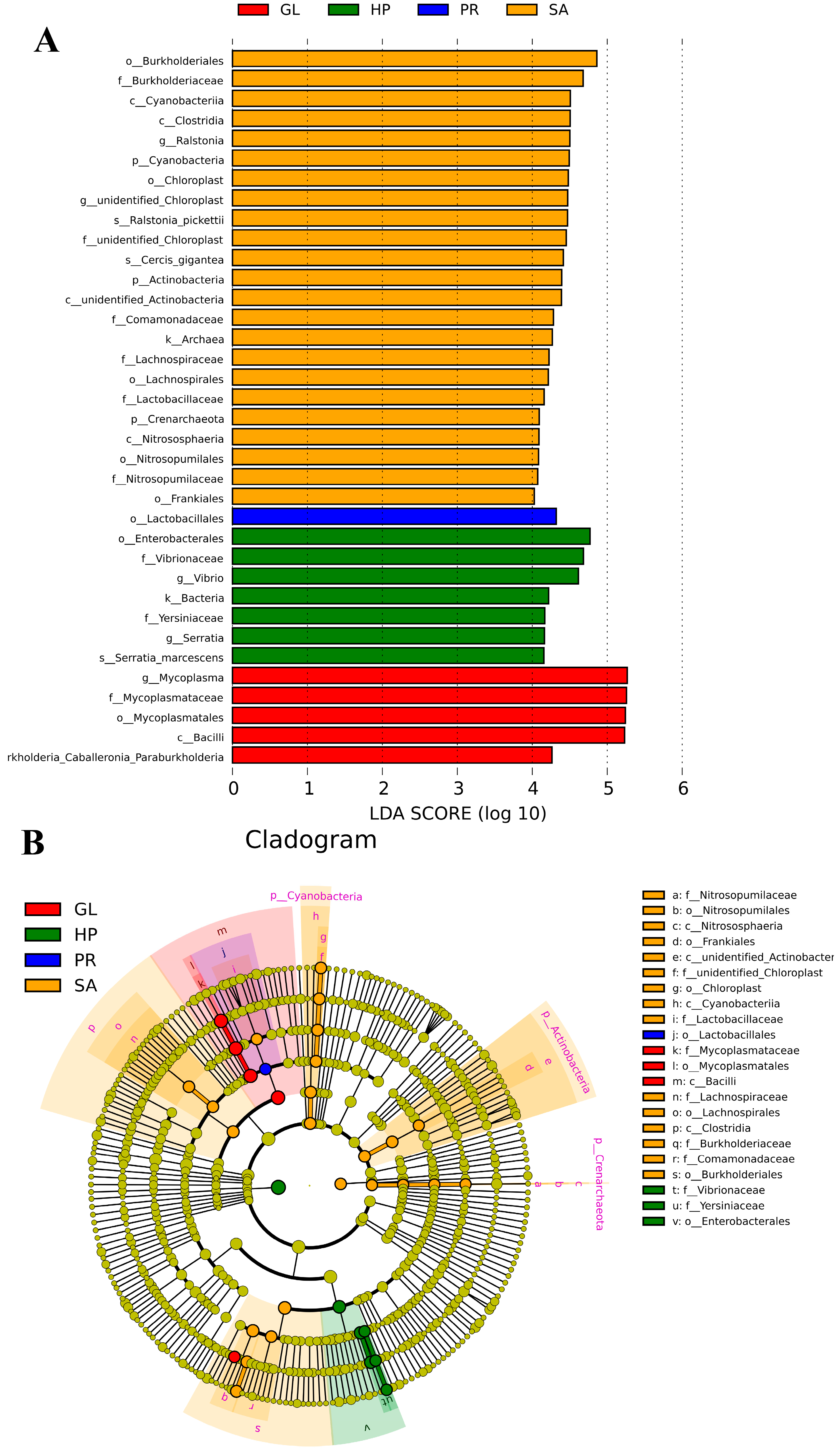 Antioxidants 12 01641 g009