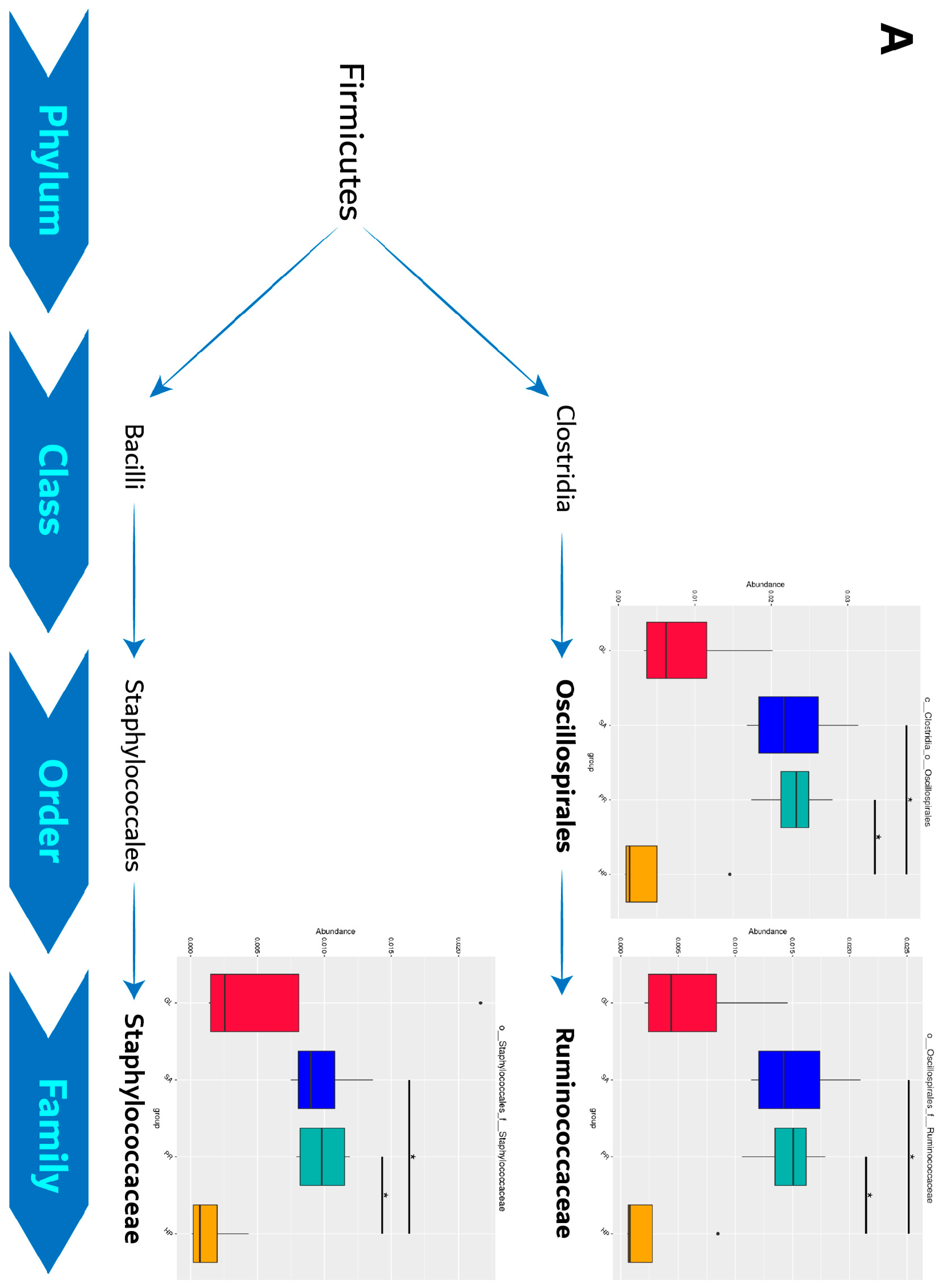 Antioxidants 12 01641 g011a