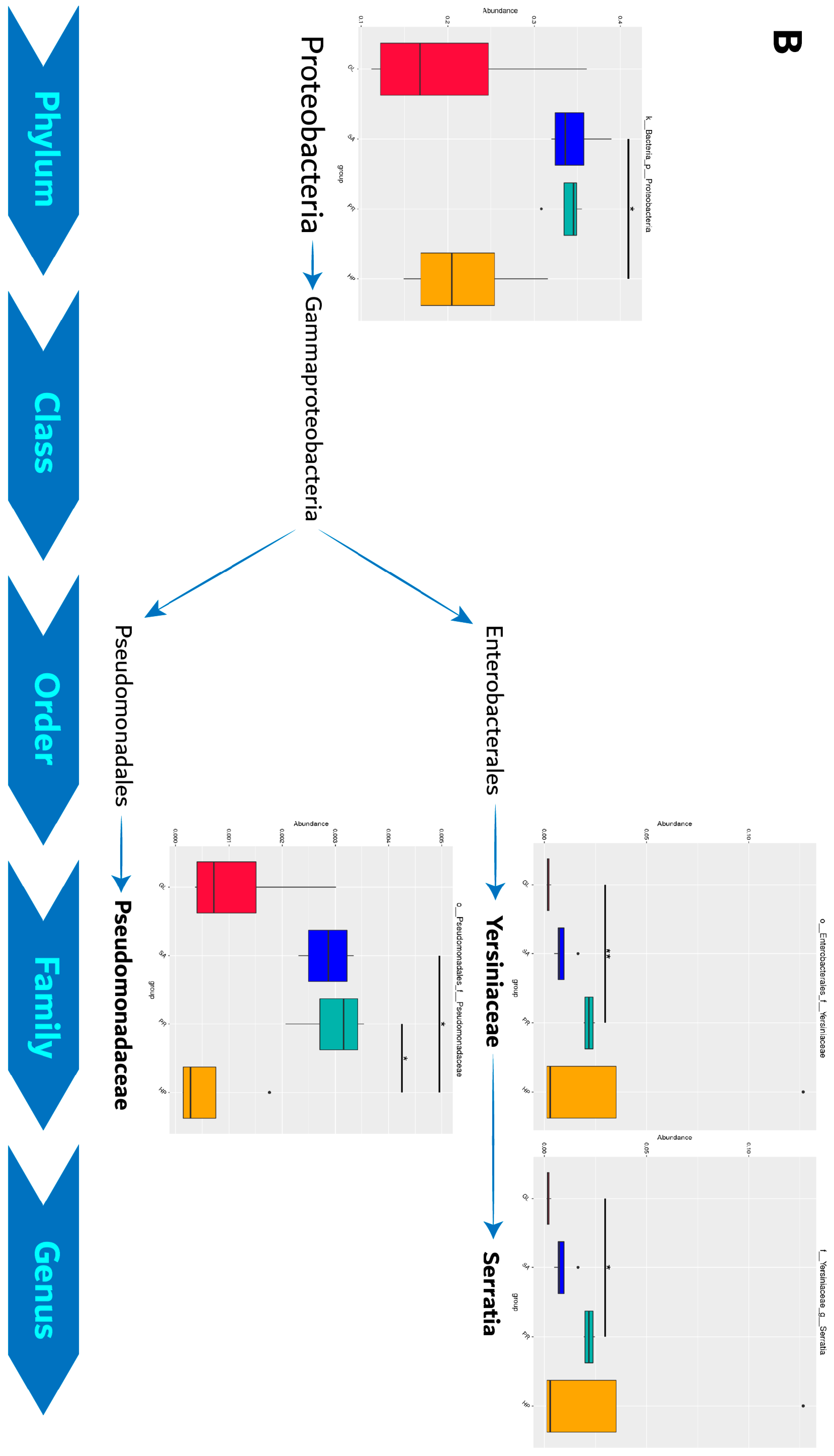 Antioxidants 12 01641 g011b