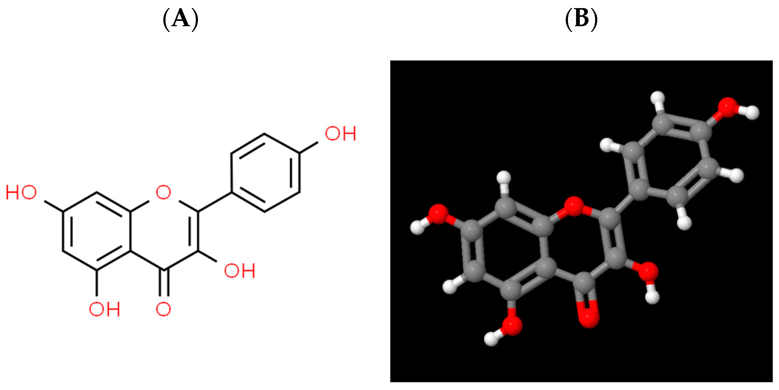 Antioxidants 12 01642 g001