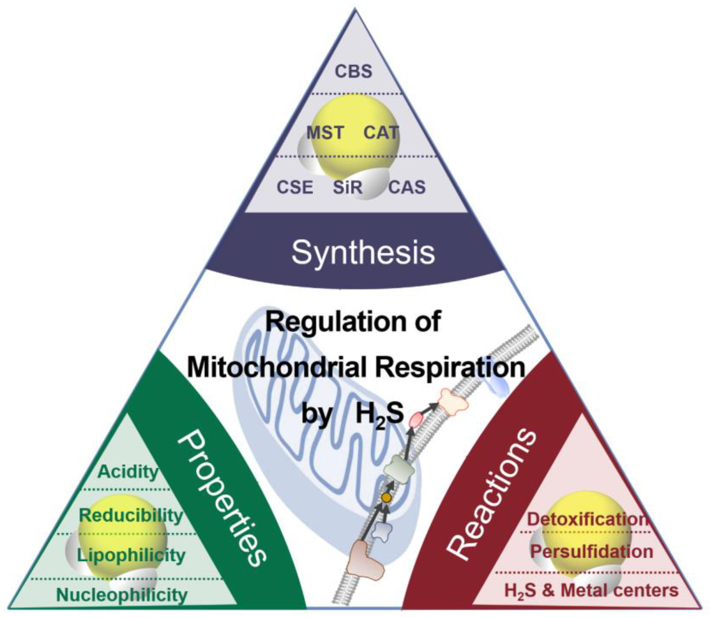 Antioxidants 12 01644 g001