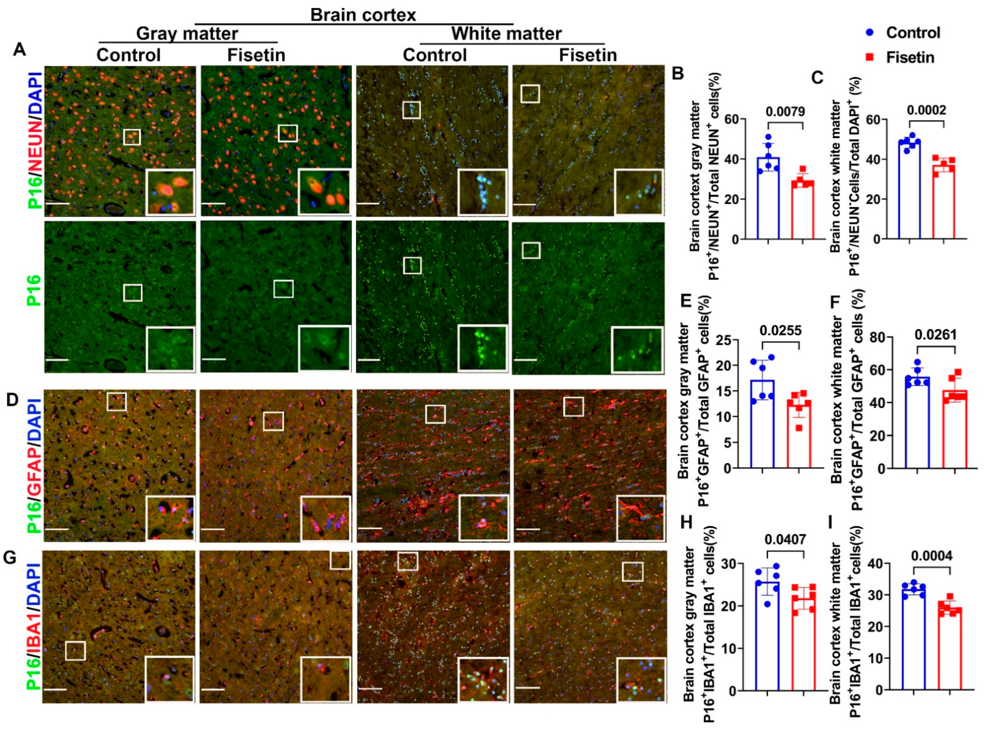 Antioxidants 12 01646 g003