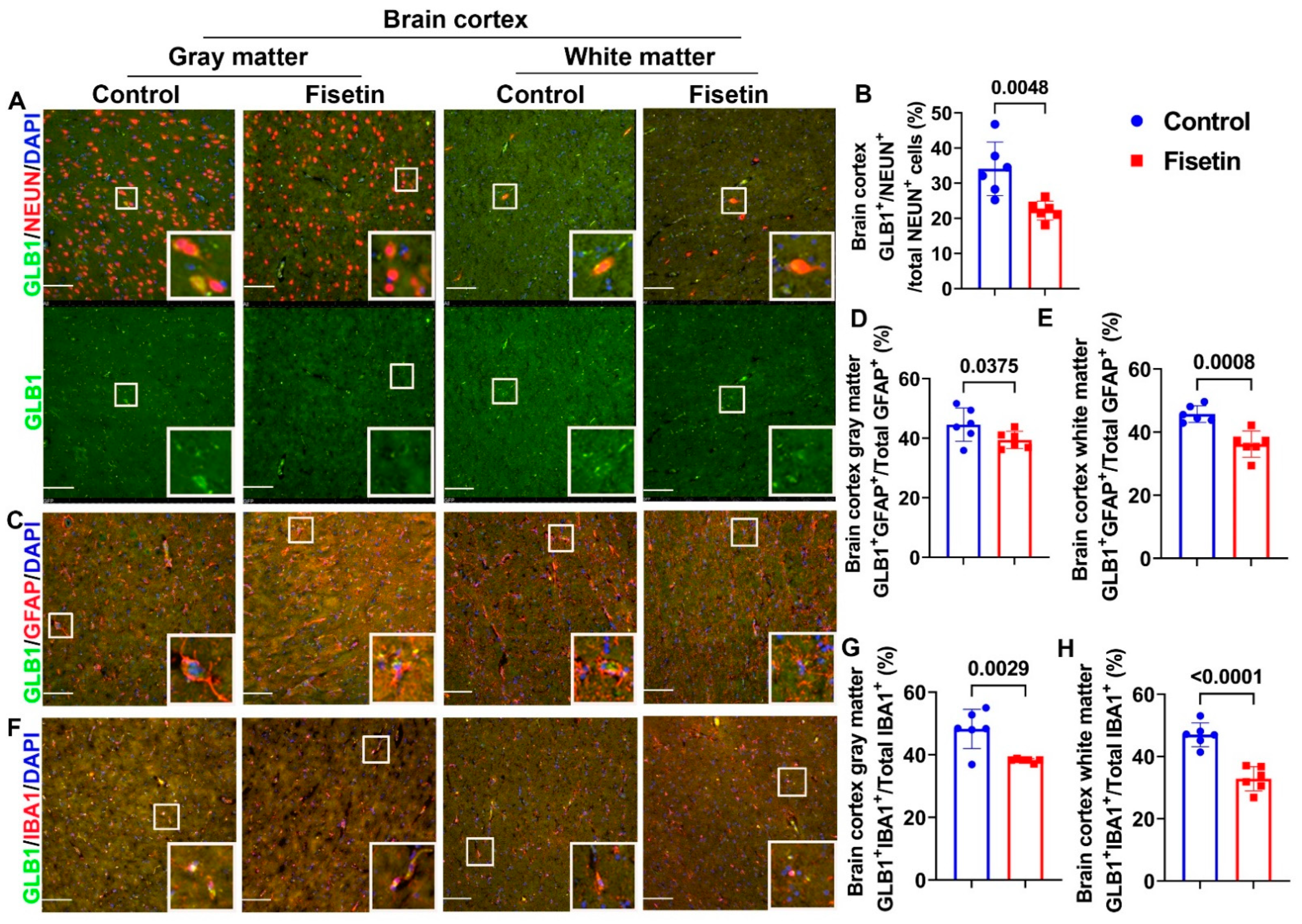 Antioxidants 12 01646 g004