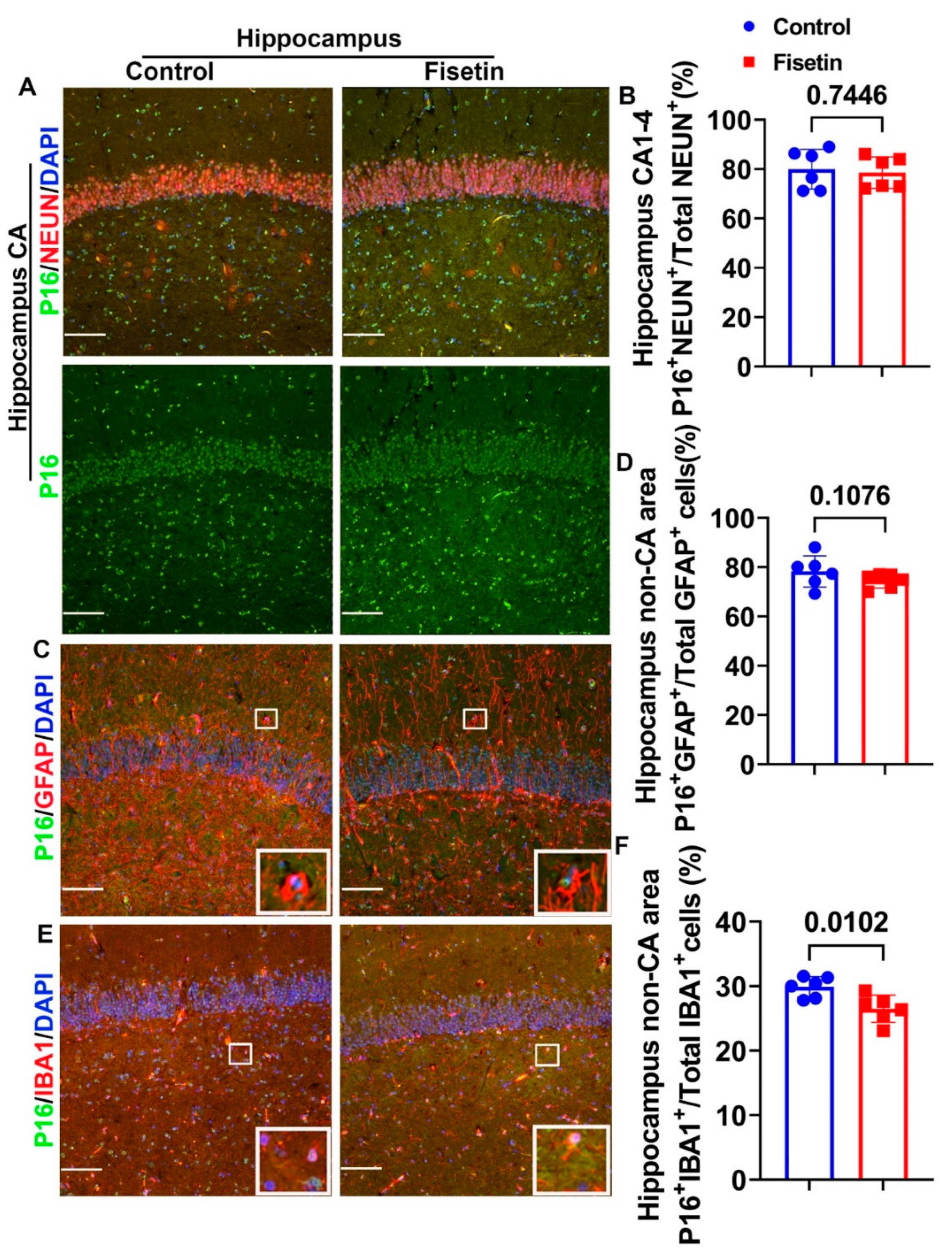 Antioxidants 12 01646 g005