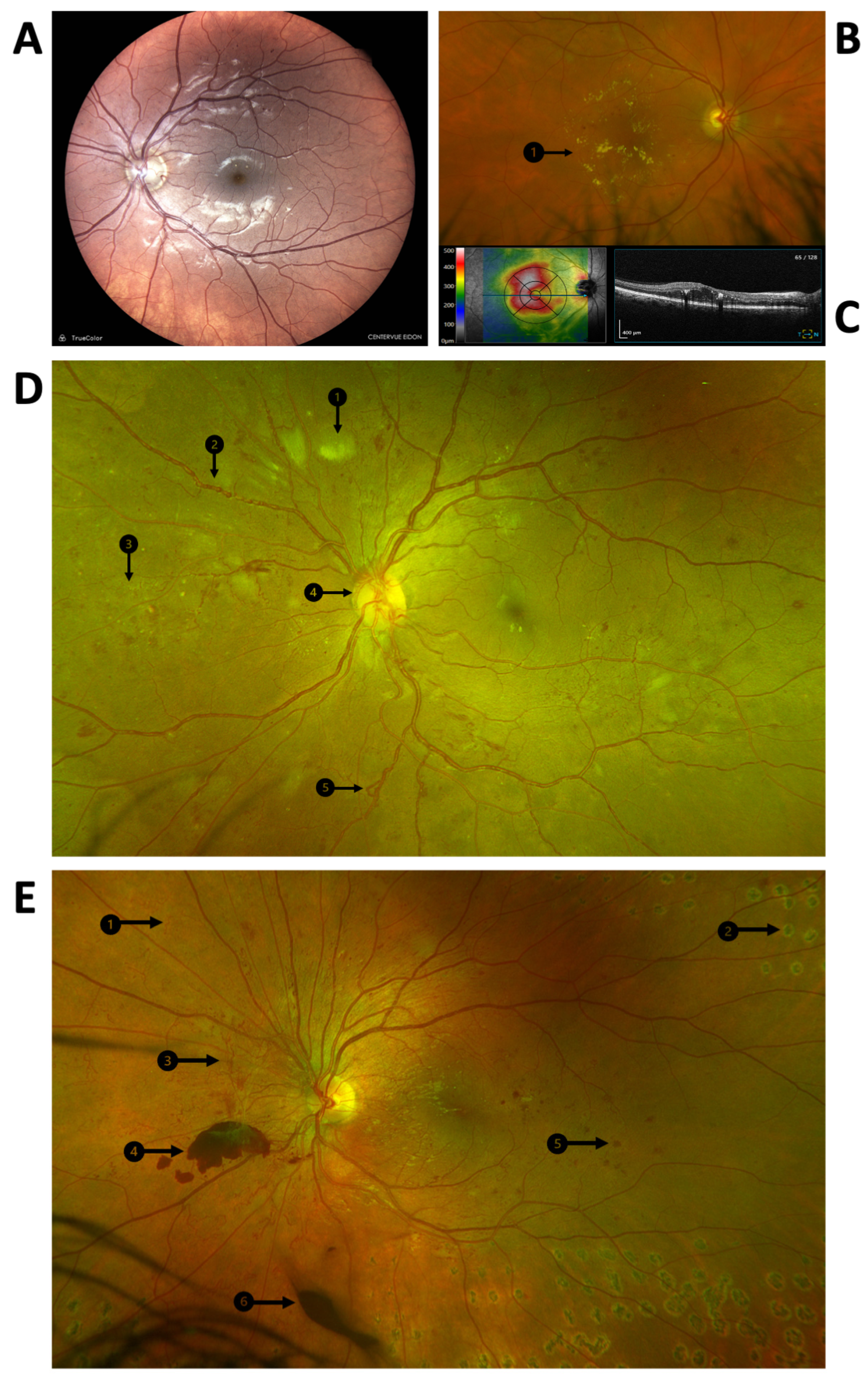 Antioxidants 12 01649 g001