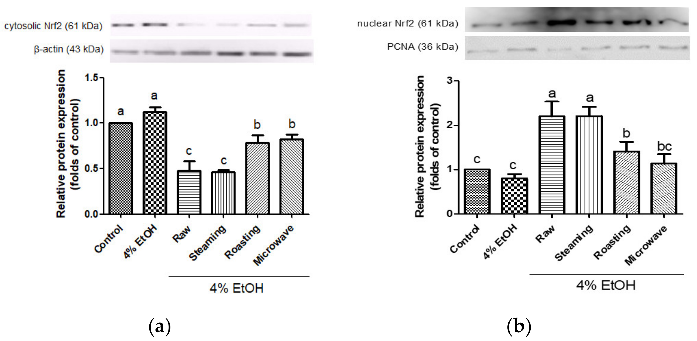 Antioxidants 12 01650 g005