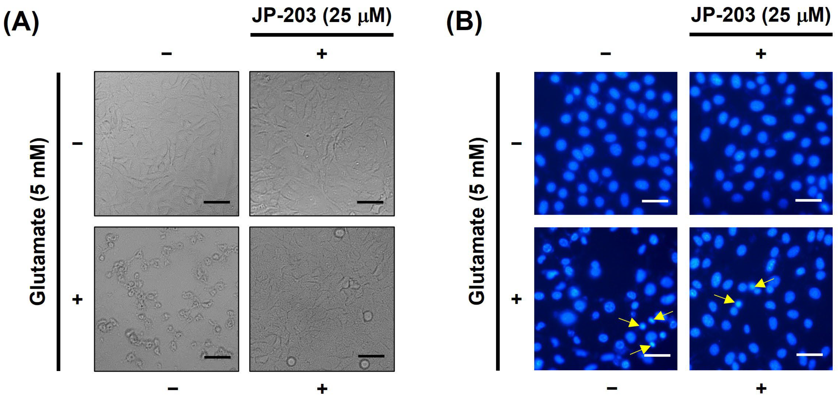 Antioxidants 12 01651 g002 Antioxidants 12 01651 g002