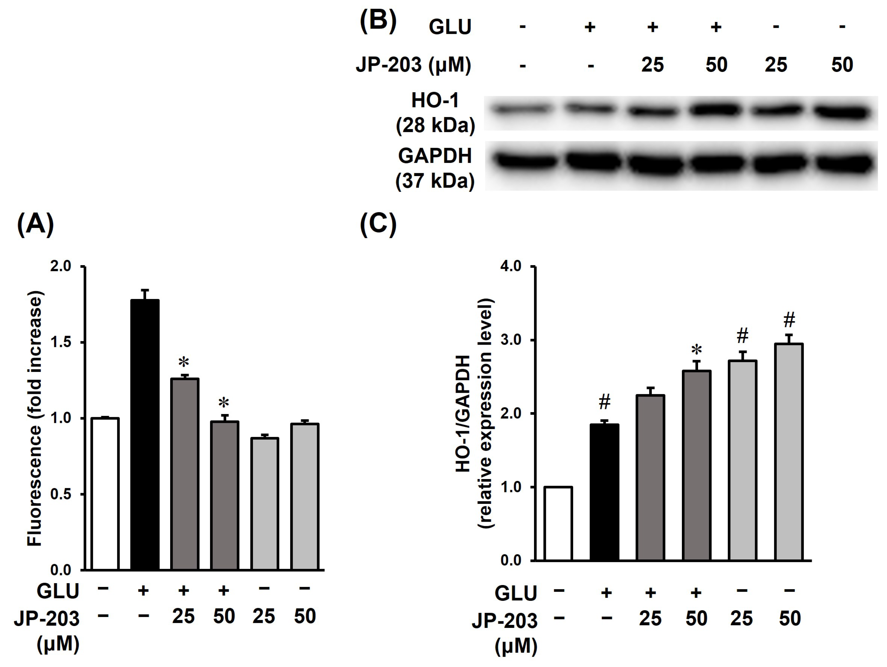 Antioxidants 12 01651 g003 Antioxidants 12 01651 g003