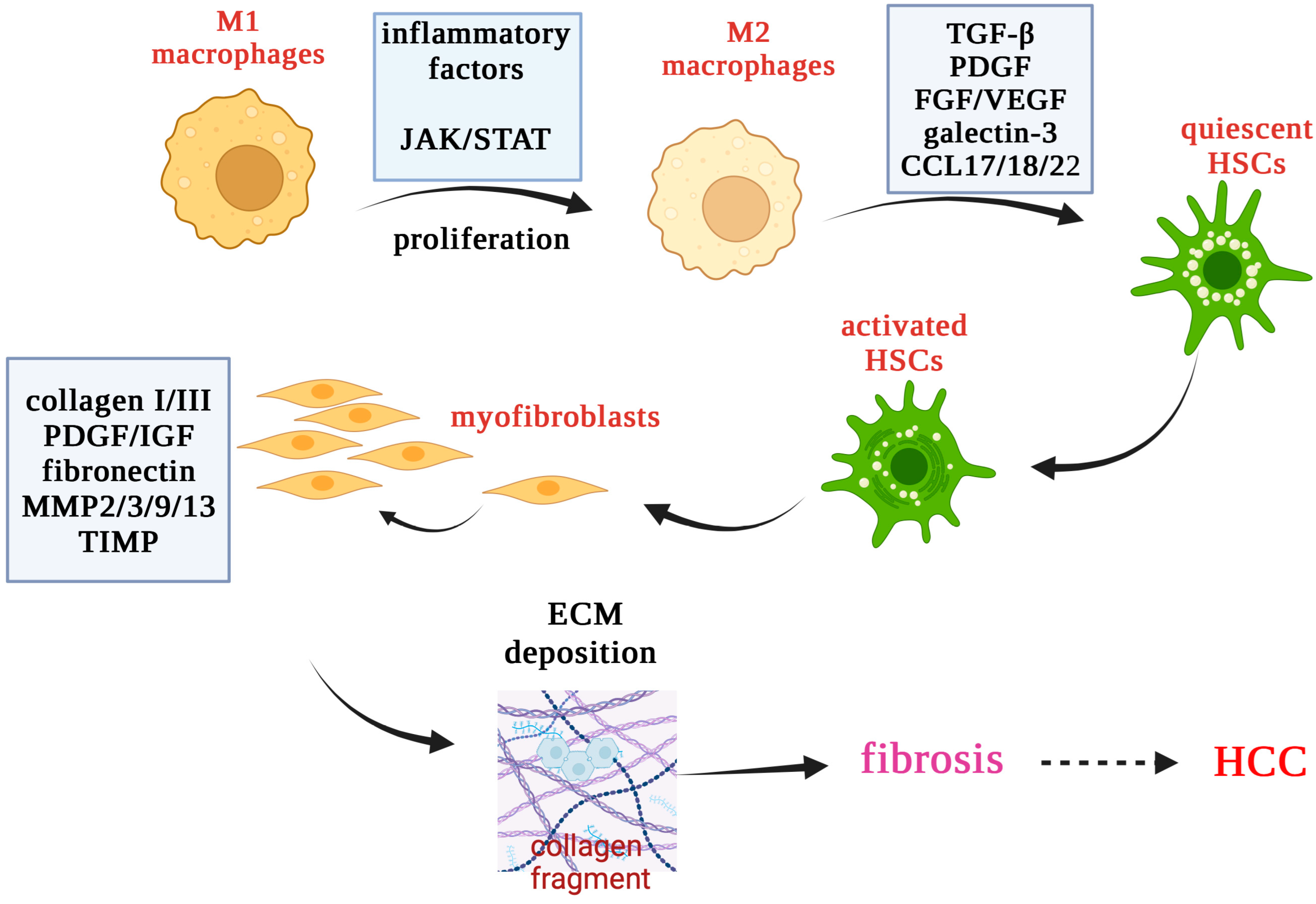 Antioxidants 12 01653 g004