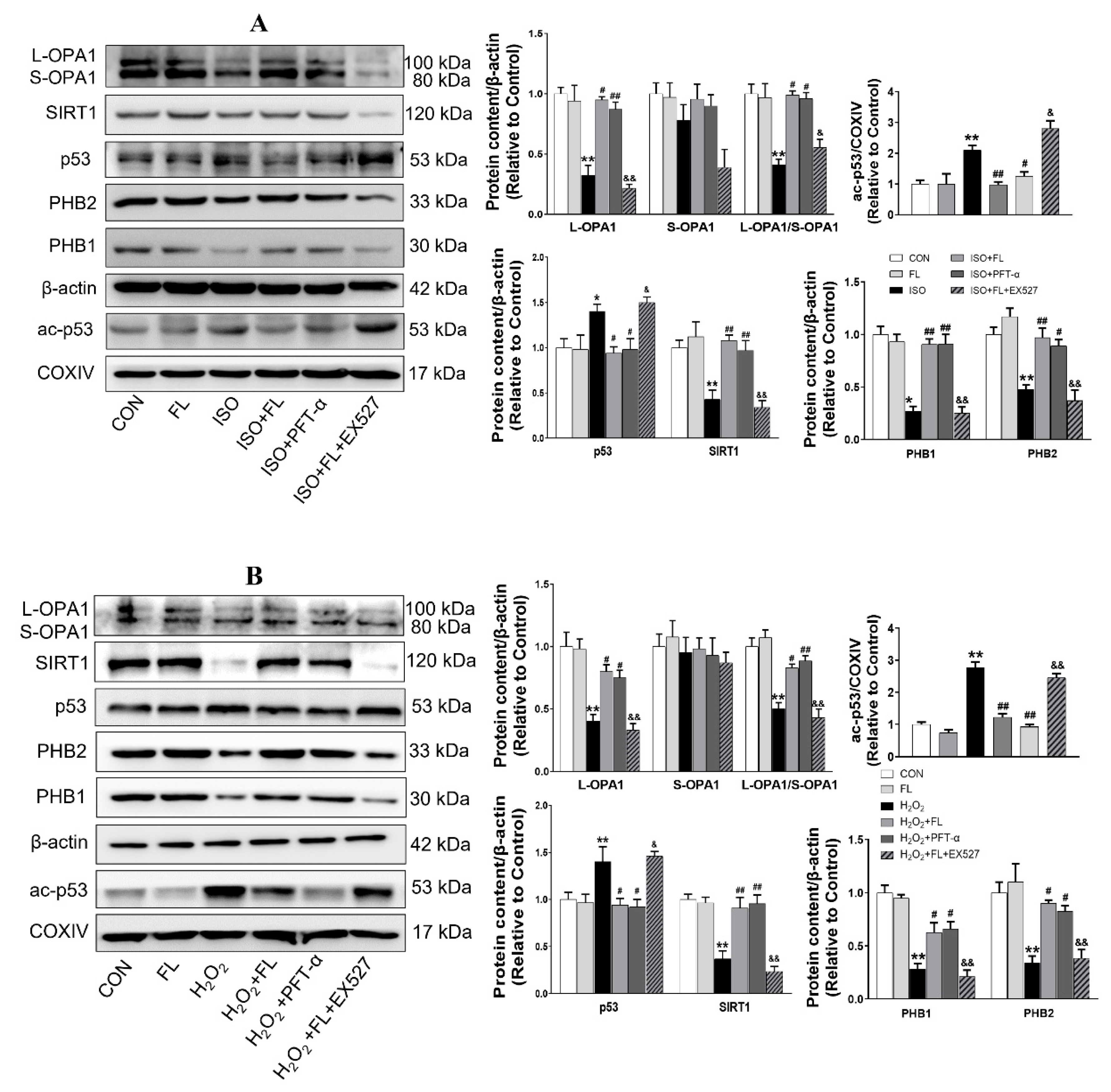 Antioxidants 12 01657 g002