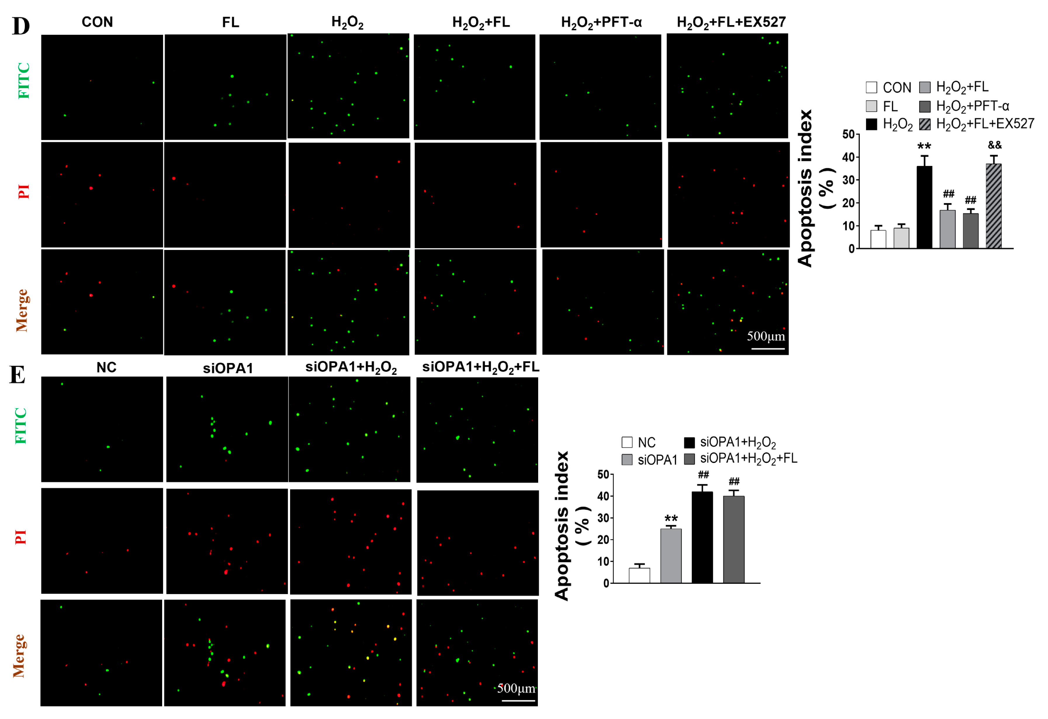 Antioxidants 12 01657 g004b