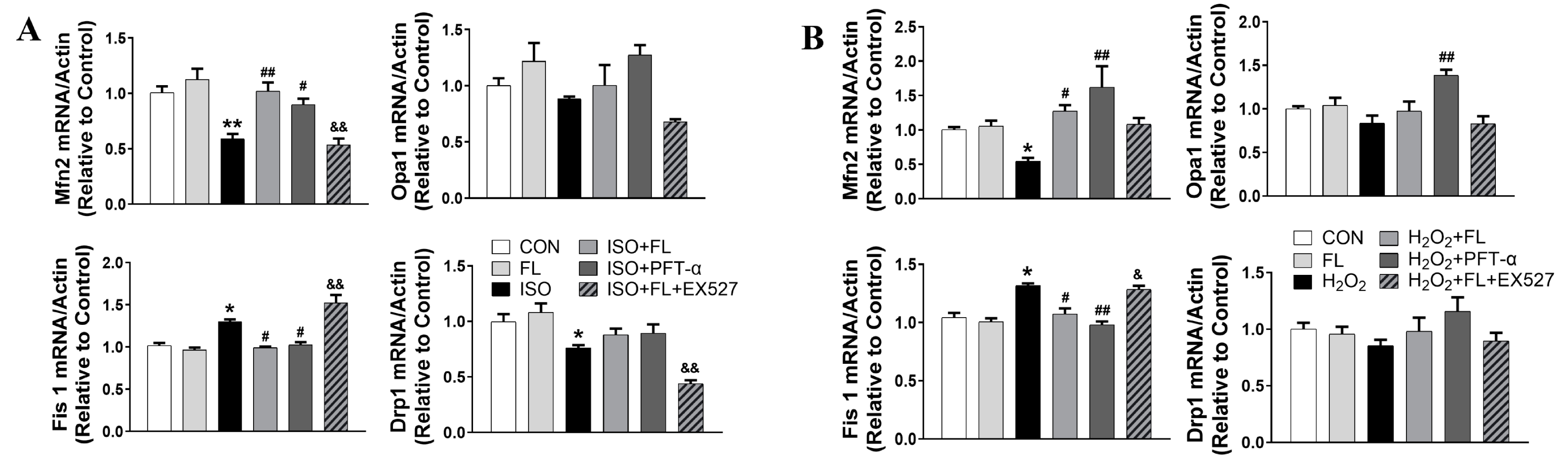 Antioxidants 12 01657 g005