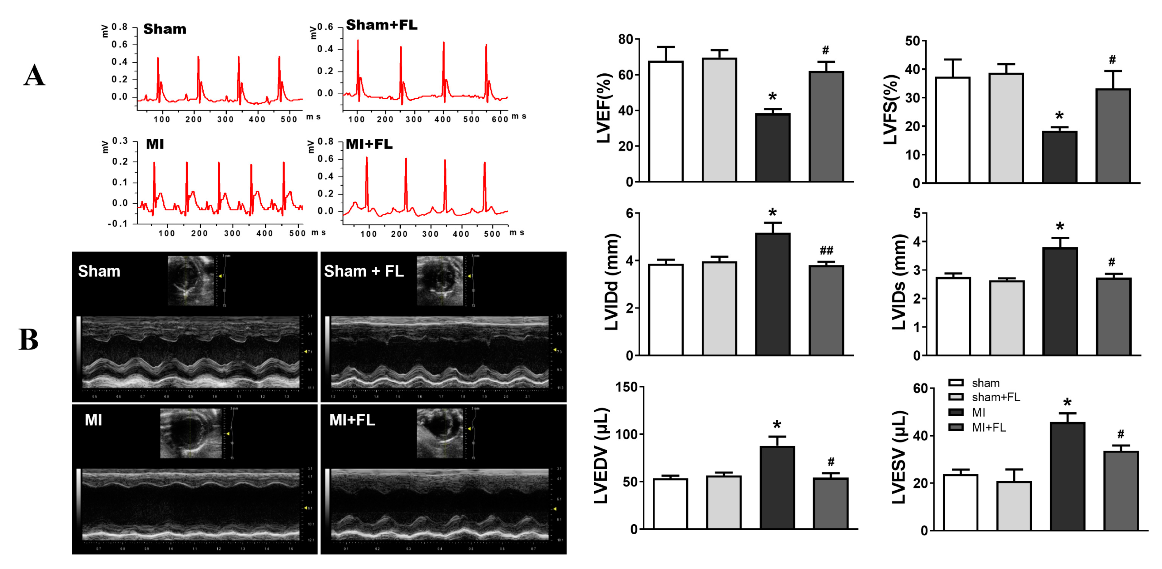Antioxidants 12 01657 g009