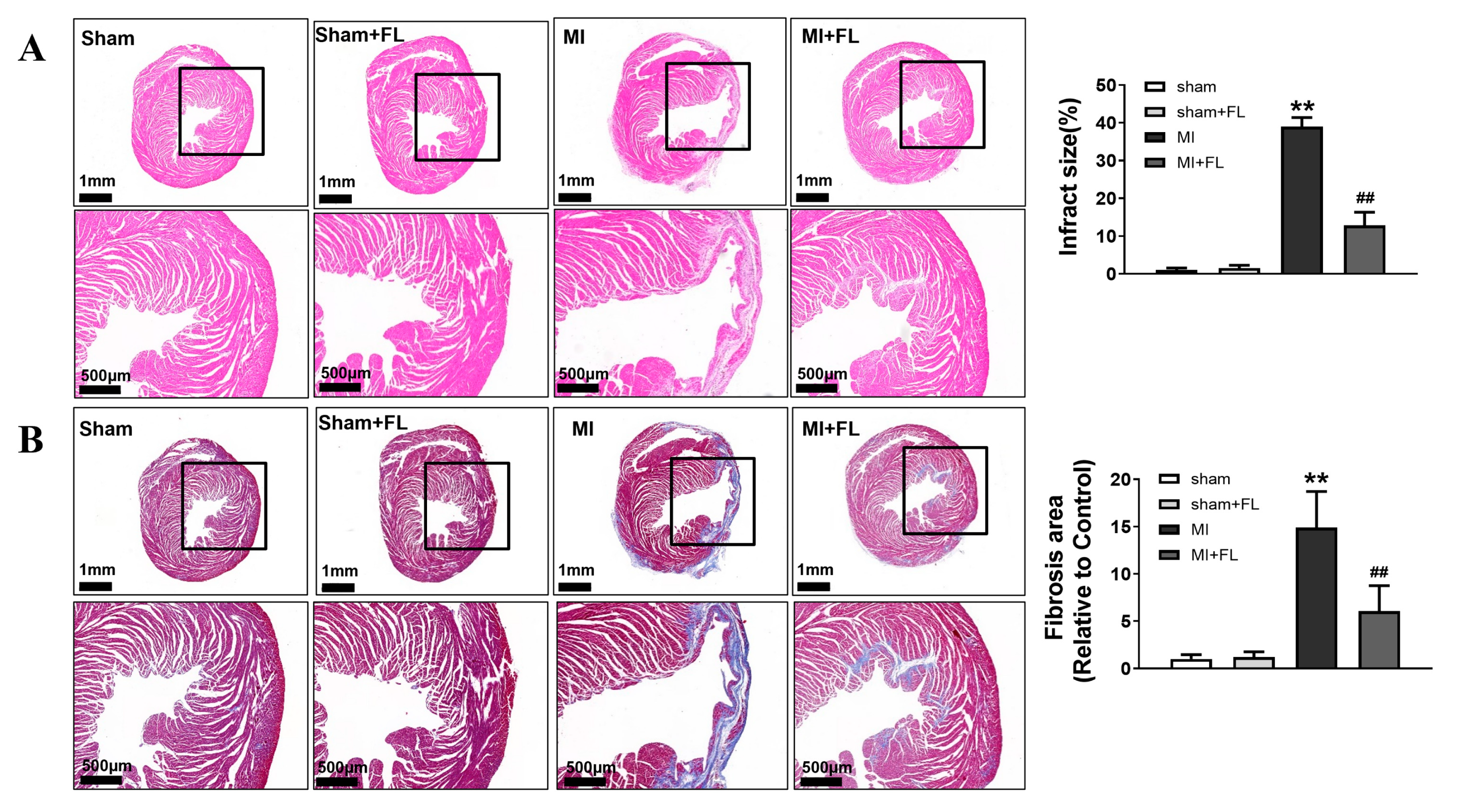 Antioxidants 12 01657 g010