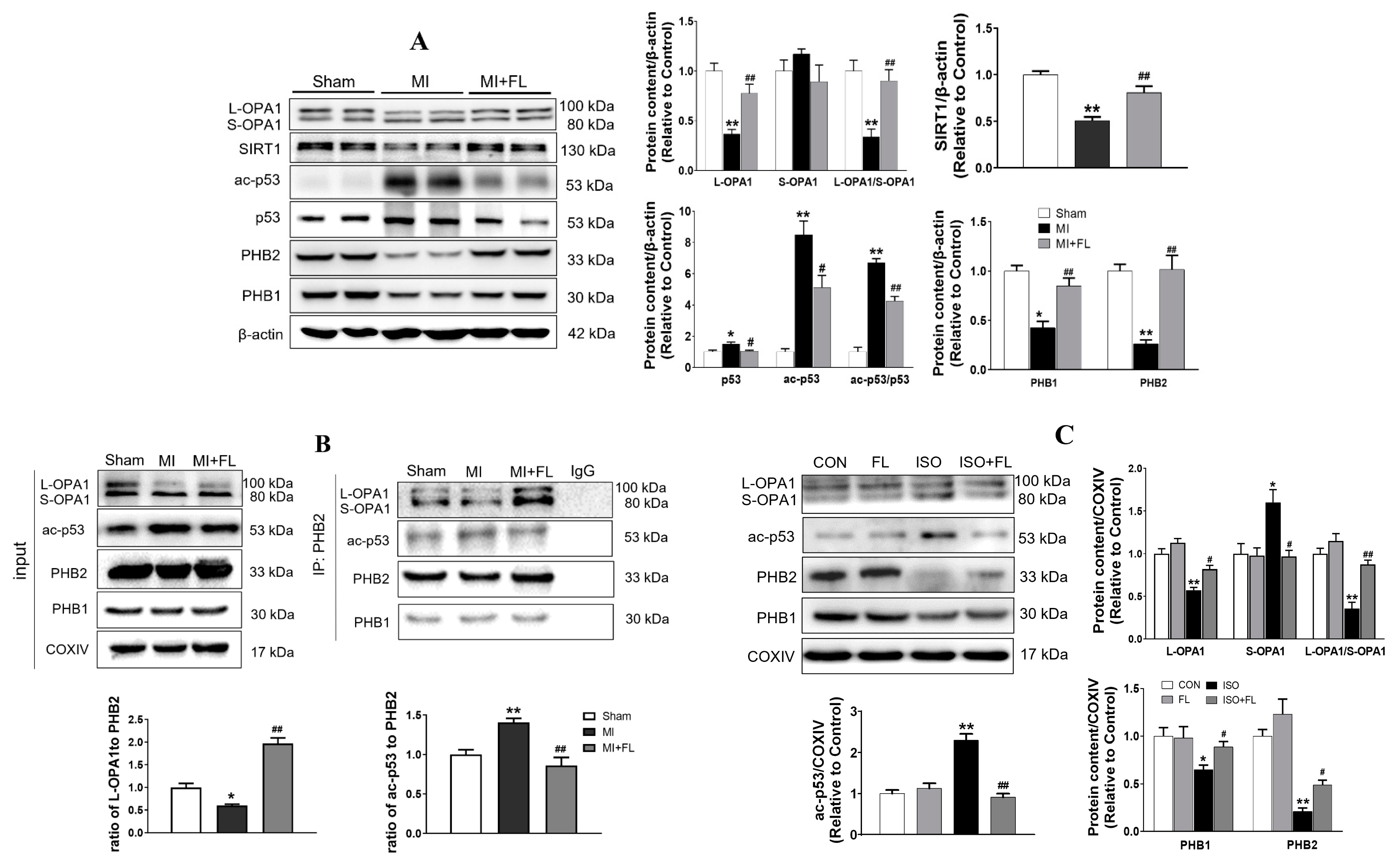 Antioxidants 12 01657 g011