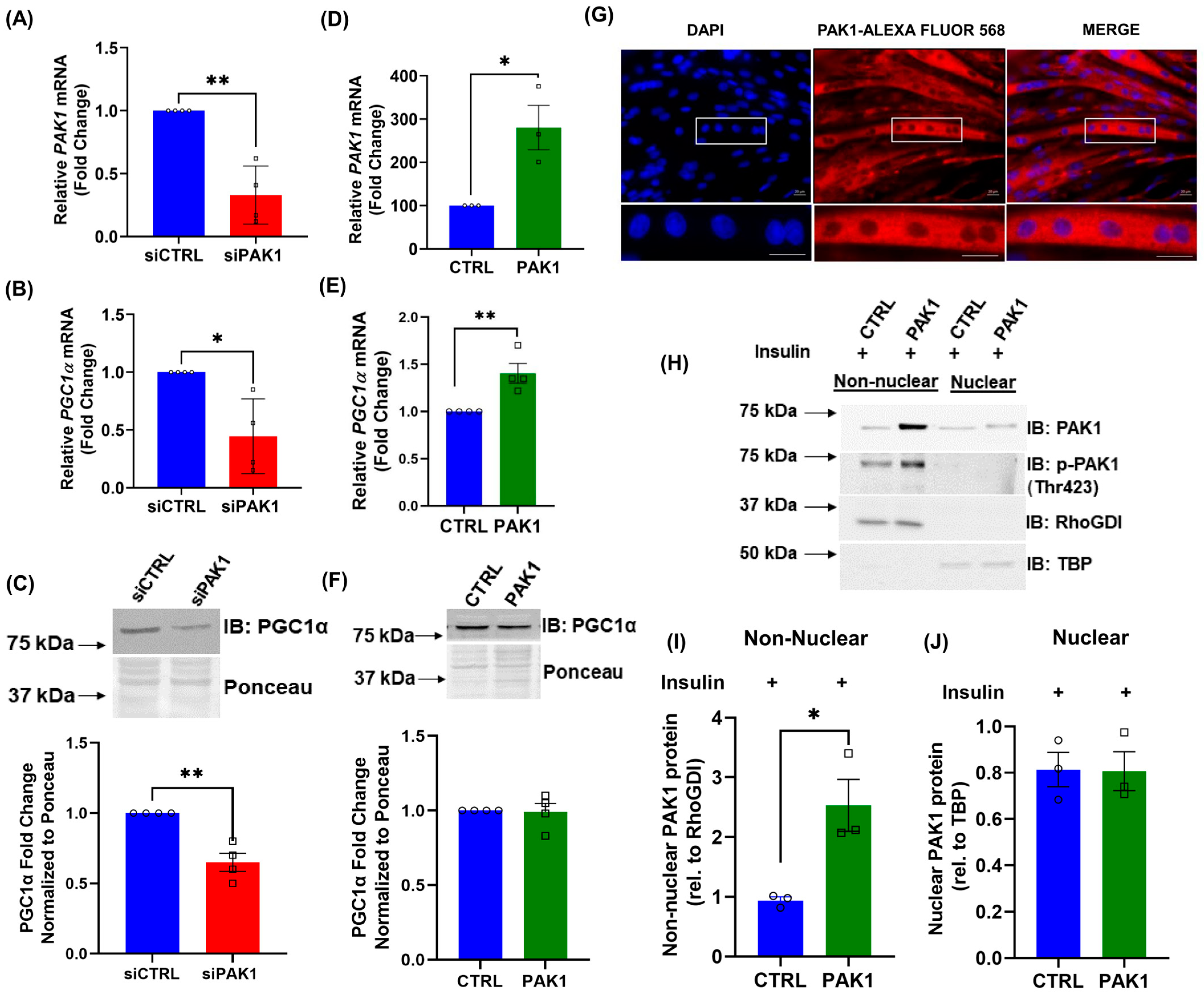 Antioxidants 12 01658 g003