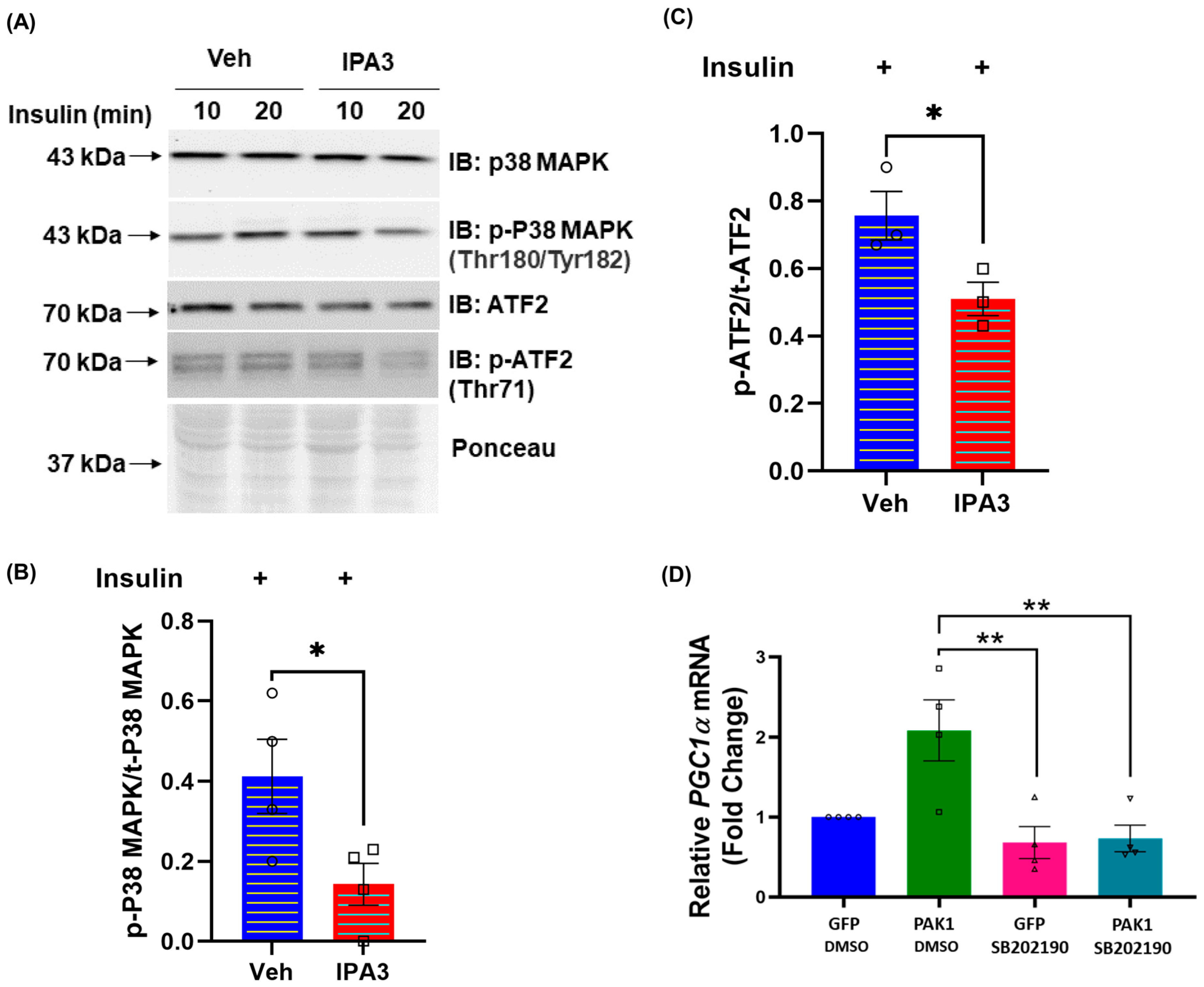 Antioxidants 12 01658 g004