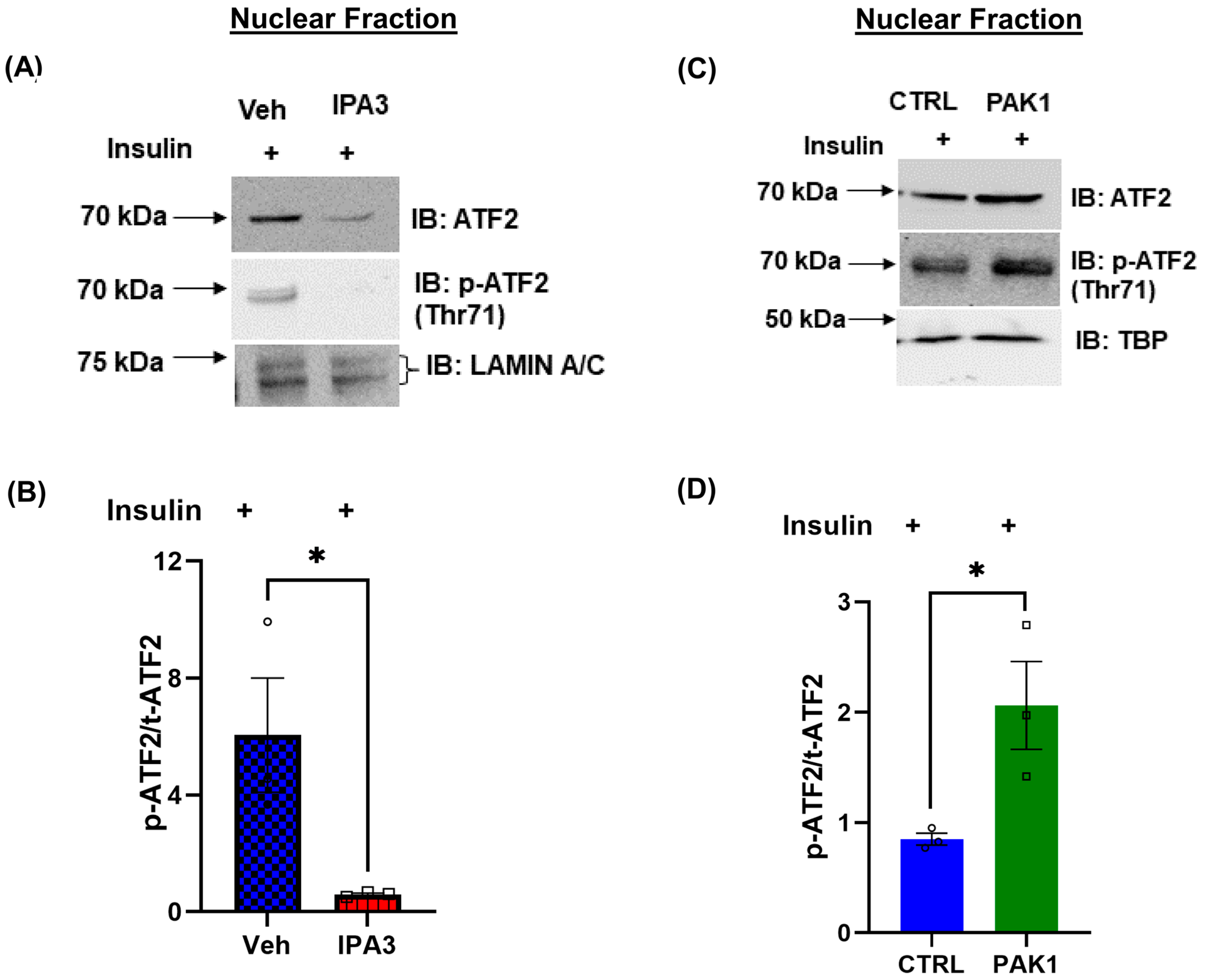 Antioxidants 12 01658 g005
