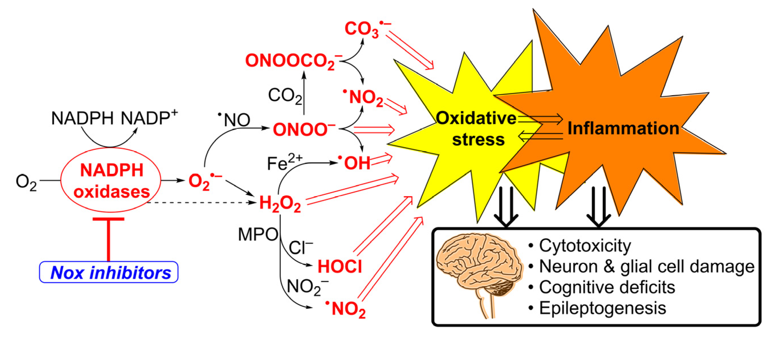 Antioxidants 12 01660 g001