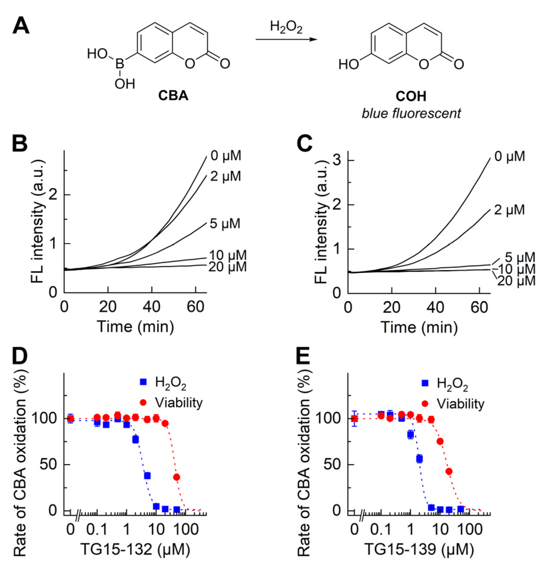 Antioxidants 12 01660 g003