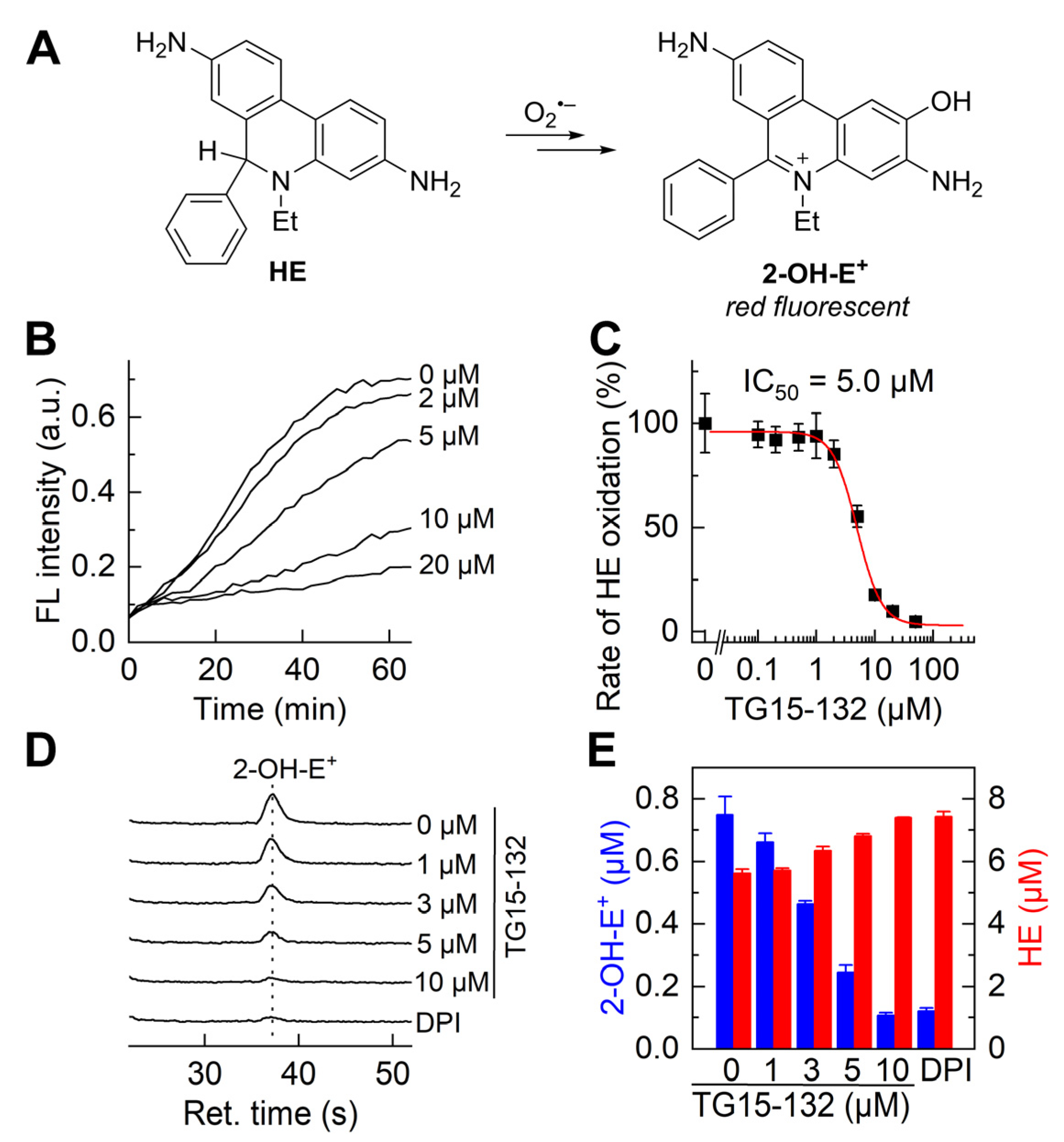 Antioxidants 12 01660 g005