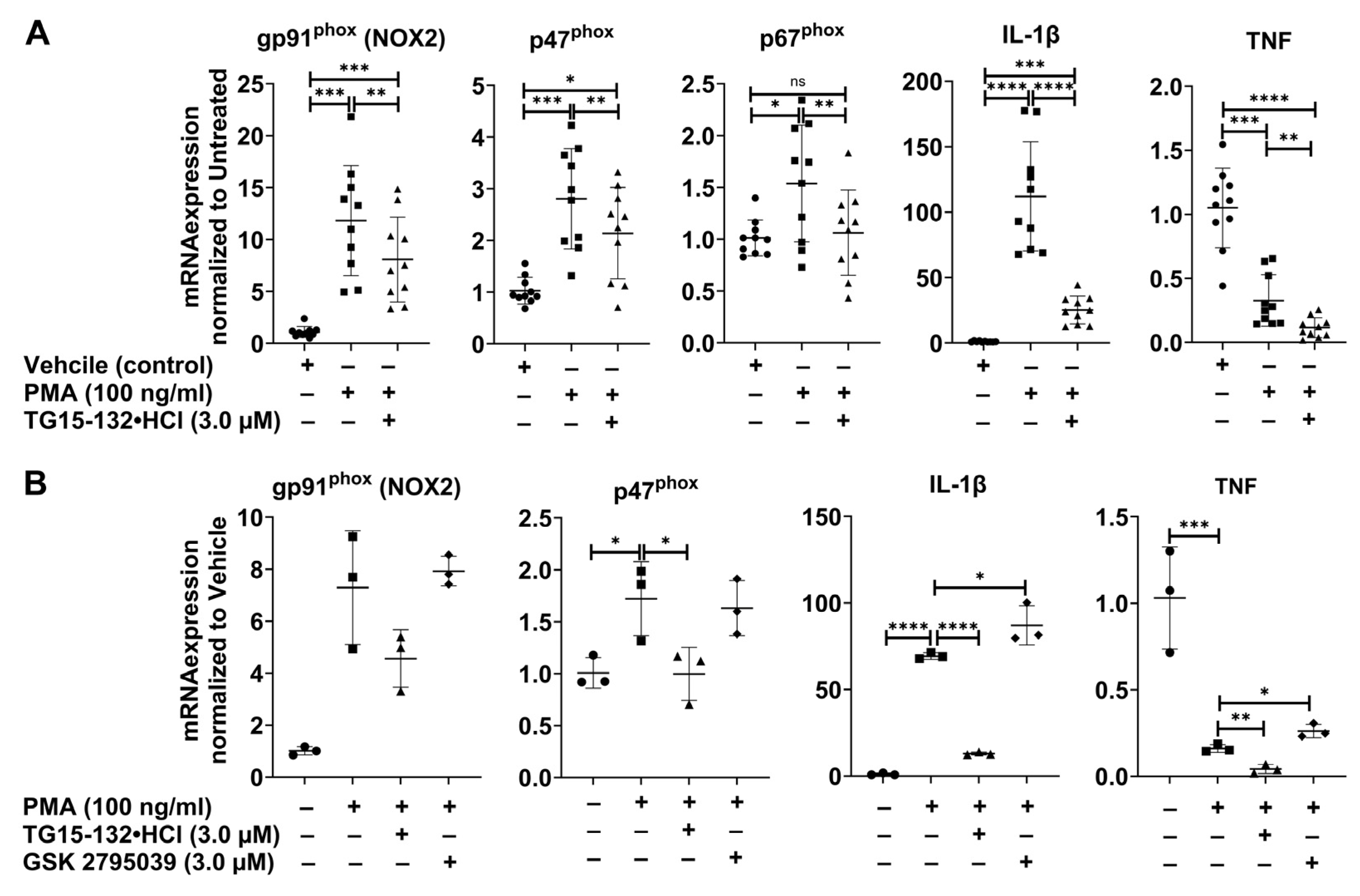 Antioxidants 12 01660 g007