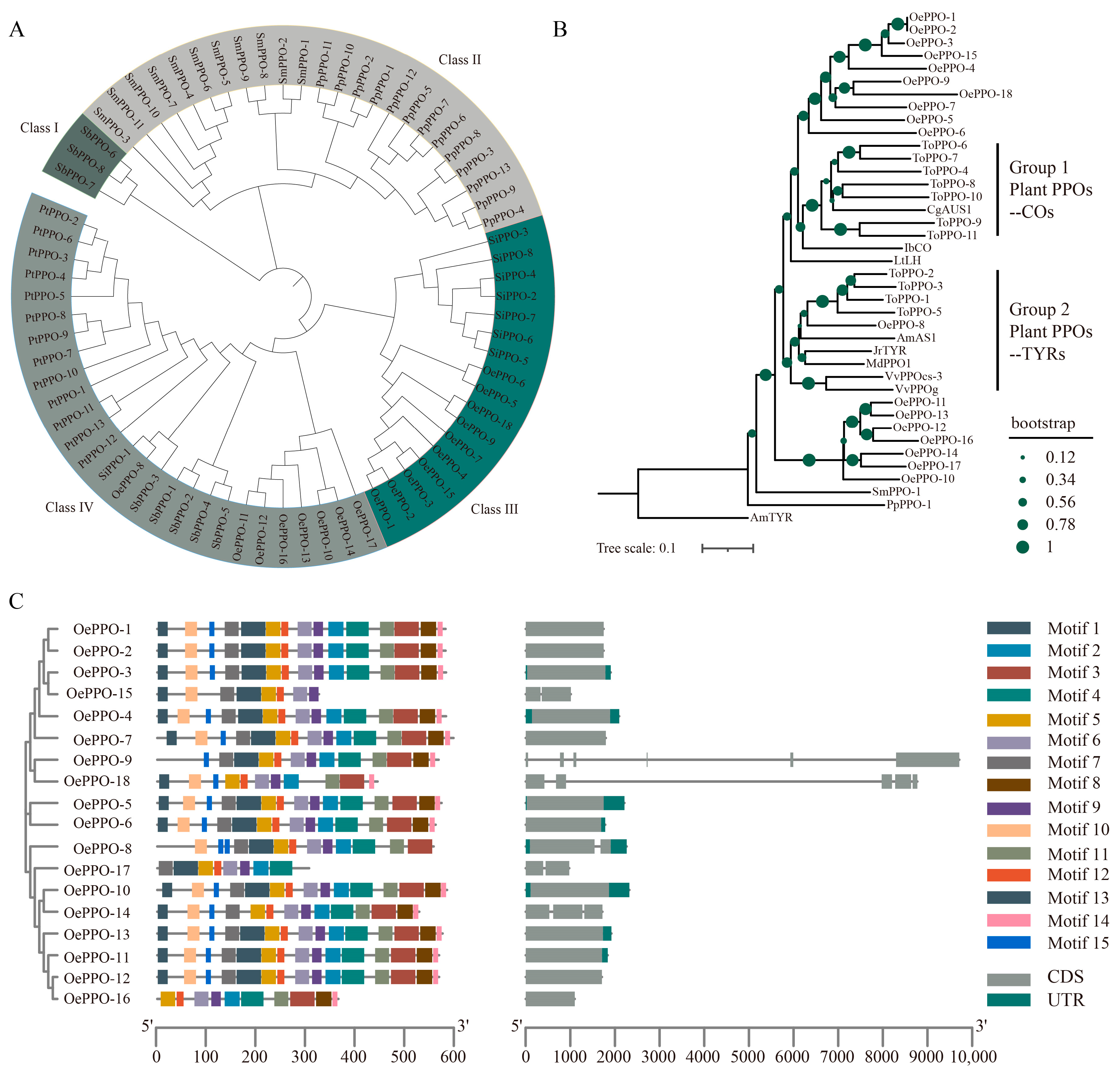 Antioxidants 12 01661 g001