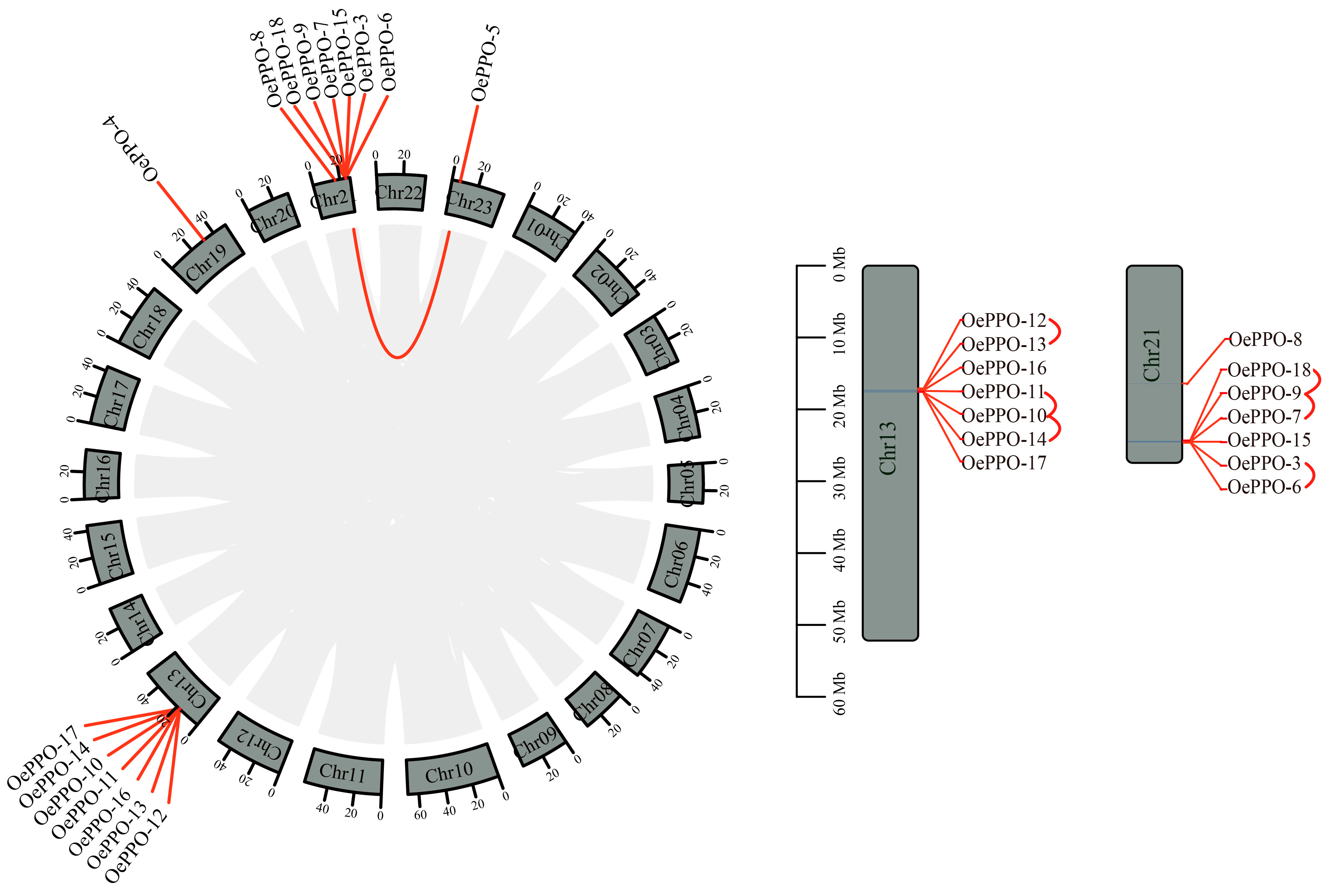 Antioxidants 12 01661 g003