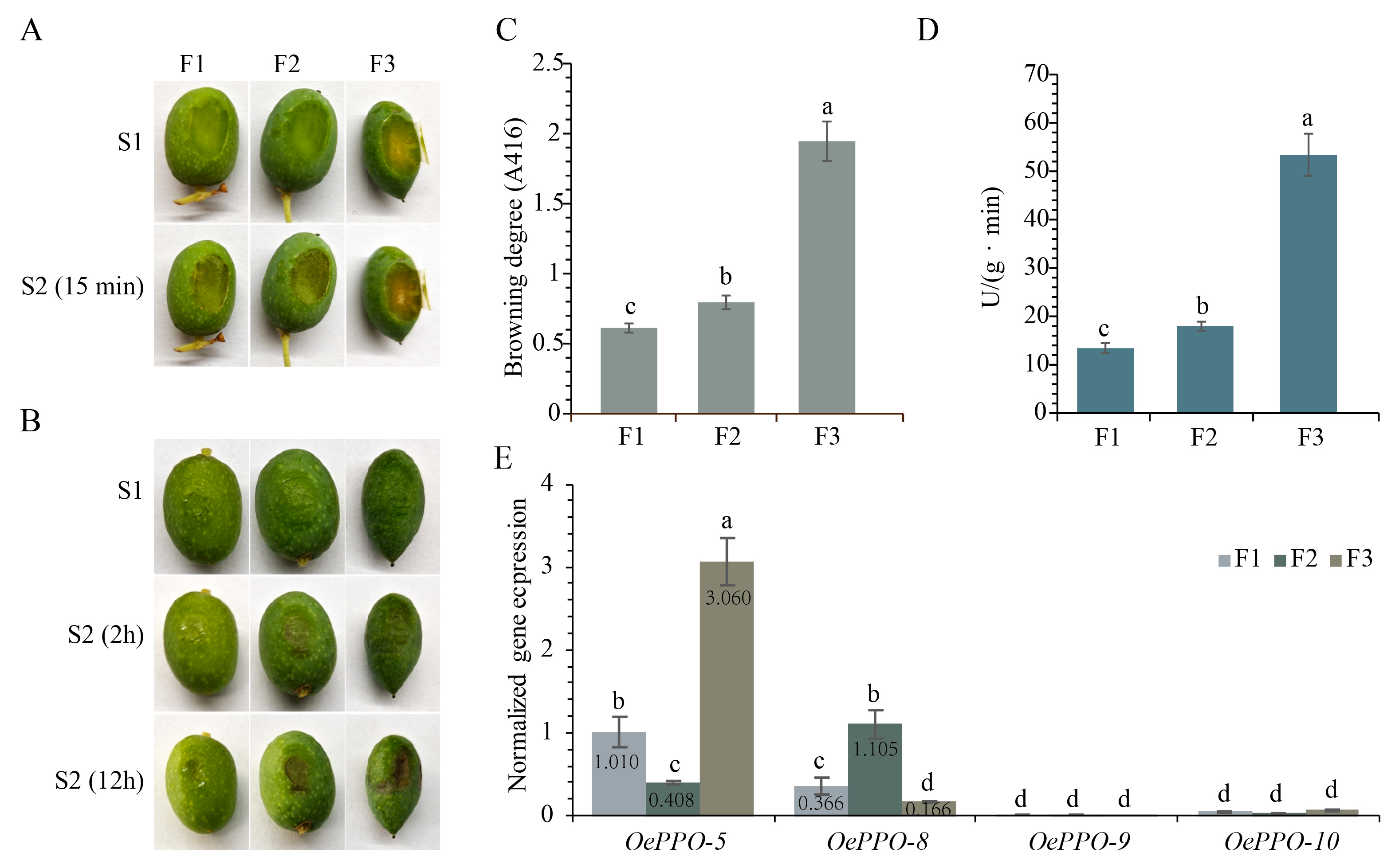 Antioxidants 12 01661 g005