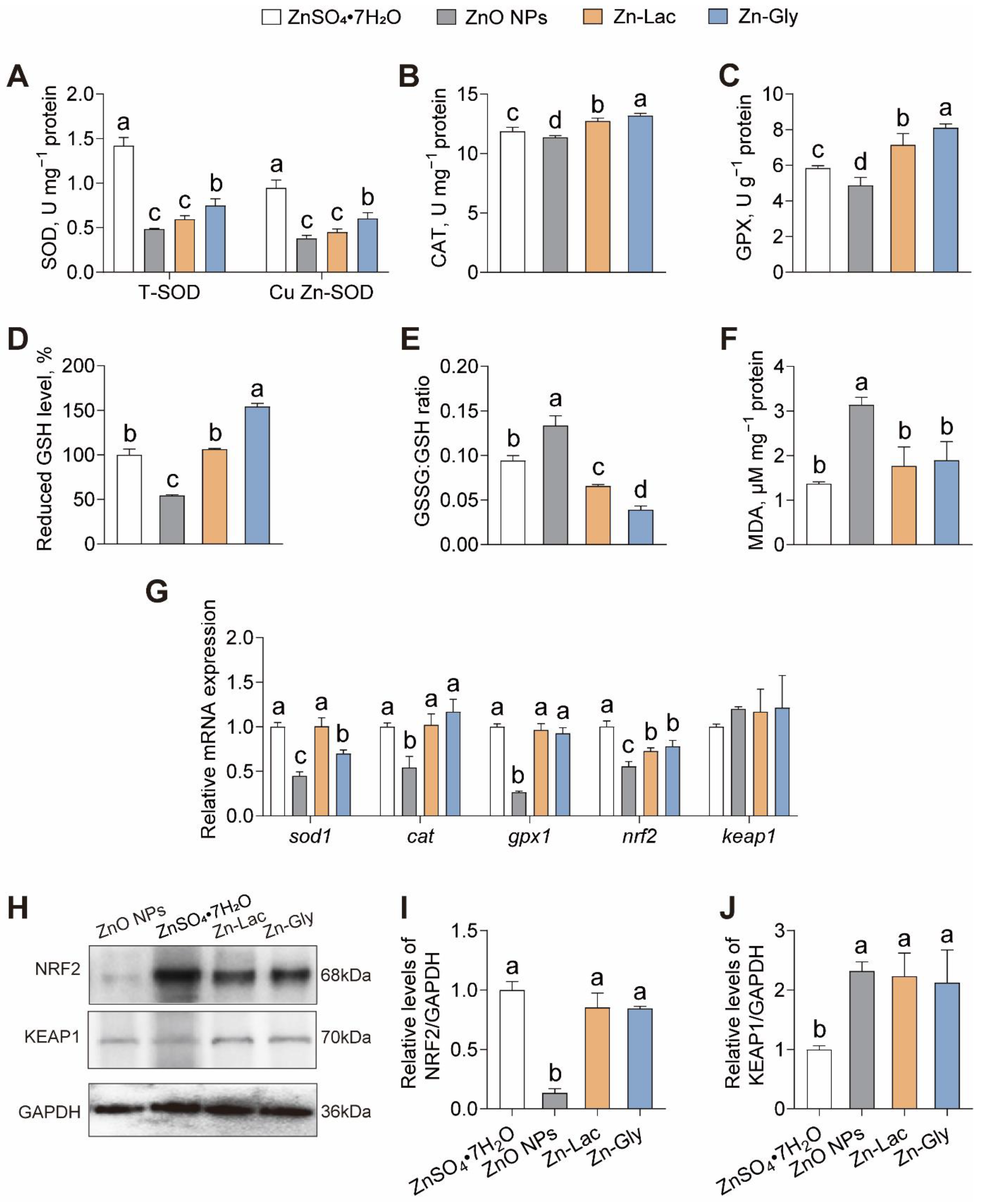 Antioxidants 12 01664 g003