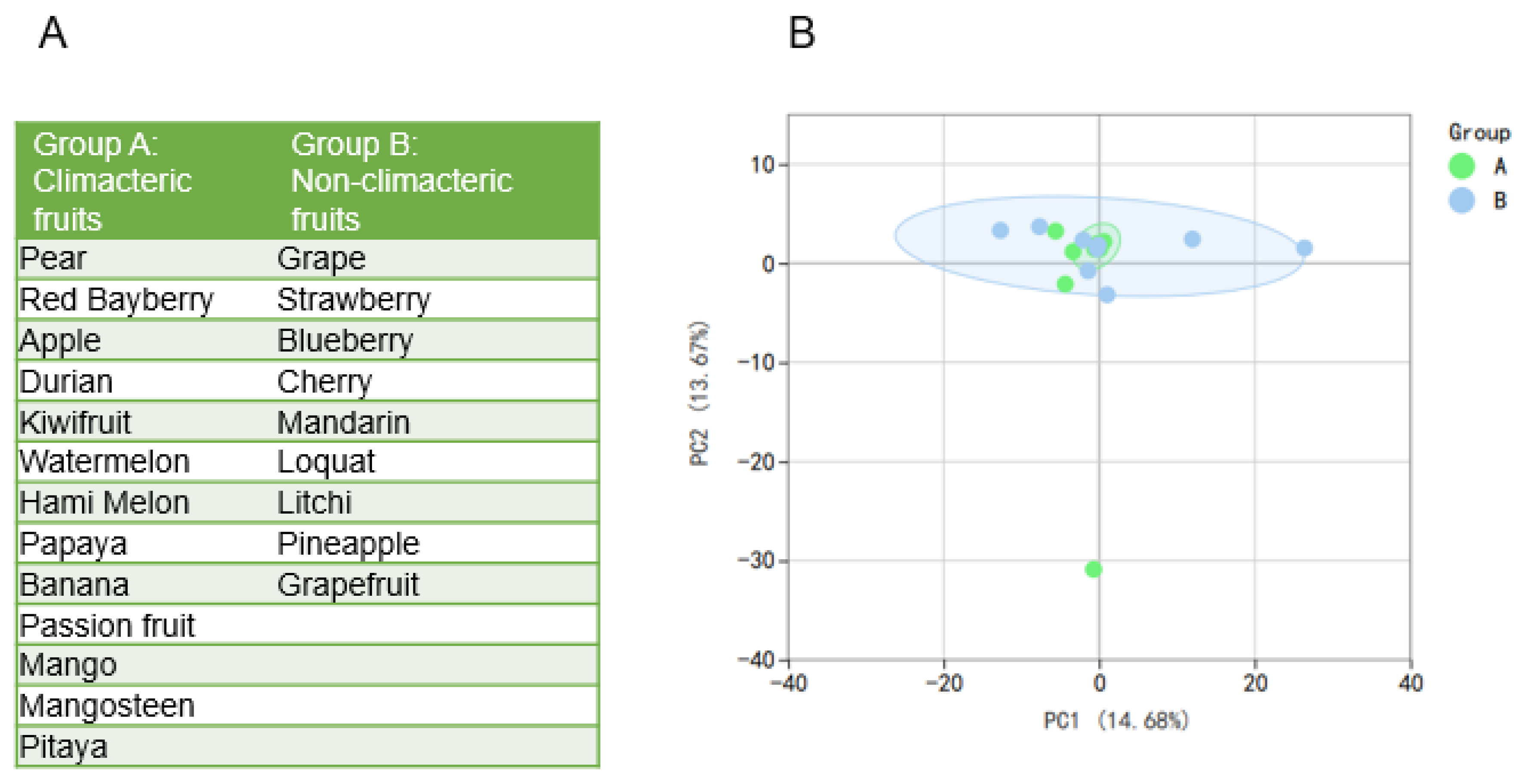 Antioxidants 12 01665 g001