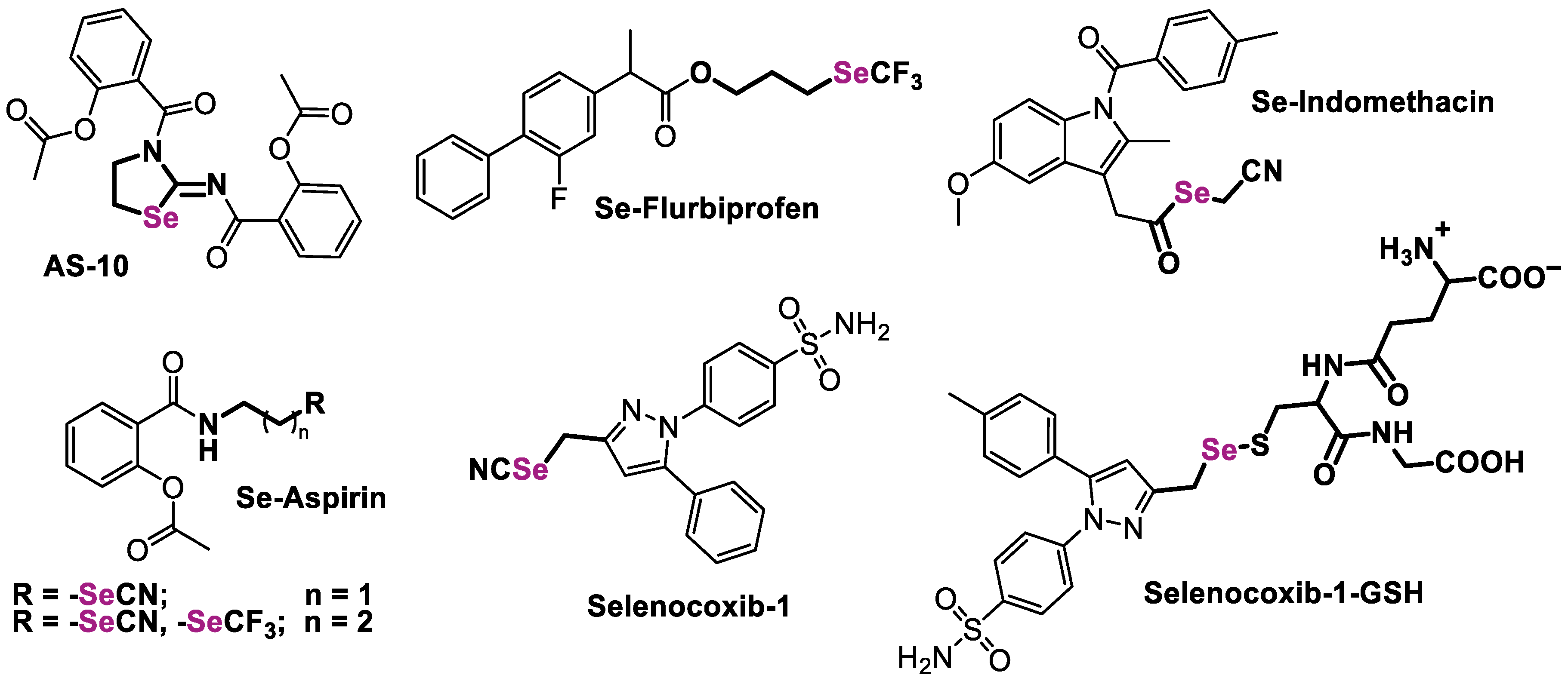 Antioxidants 12 01666 g001