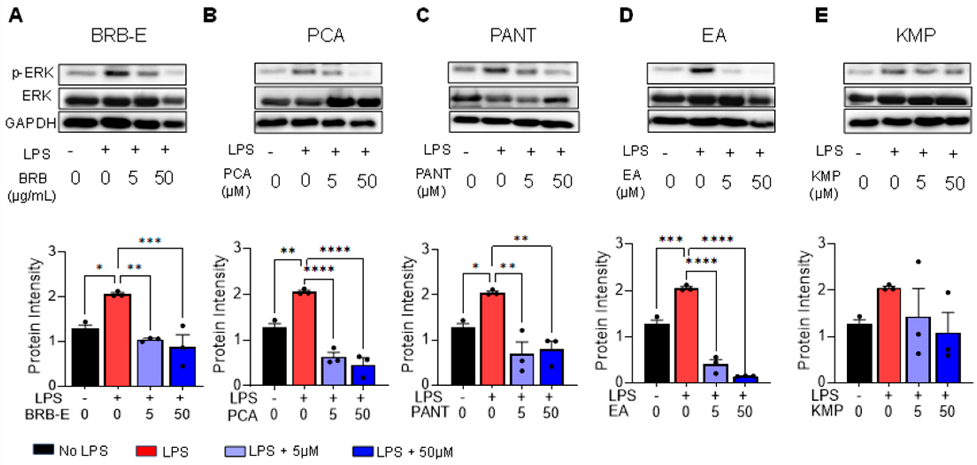 Antioxidants 12 01667 g001