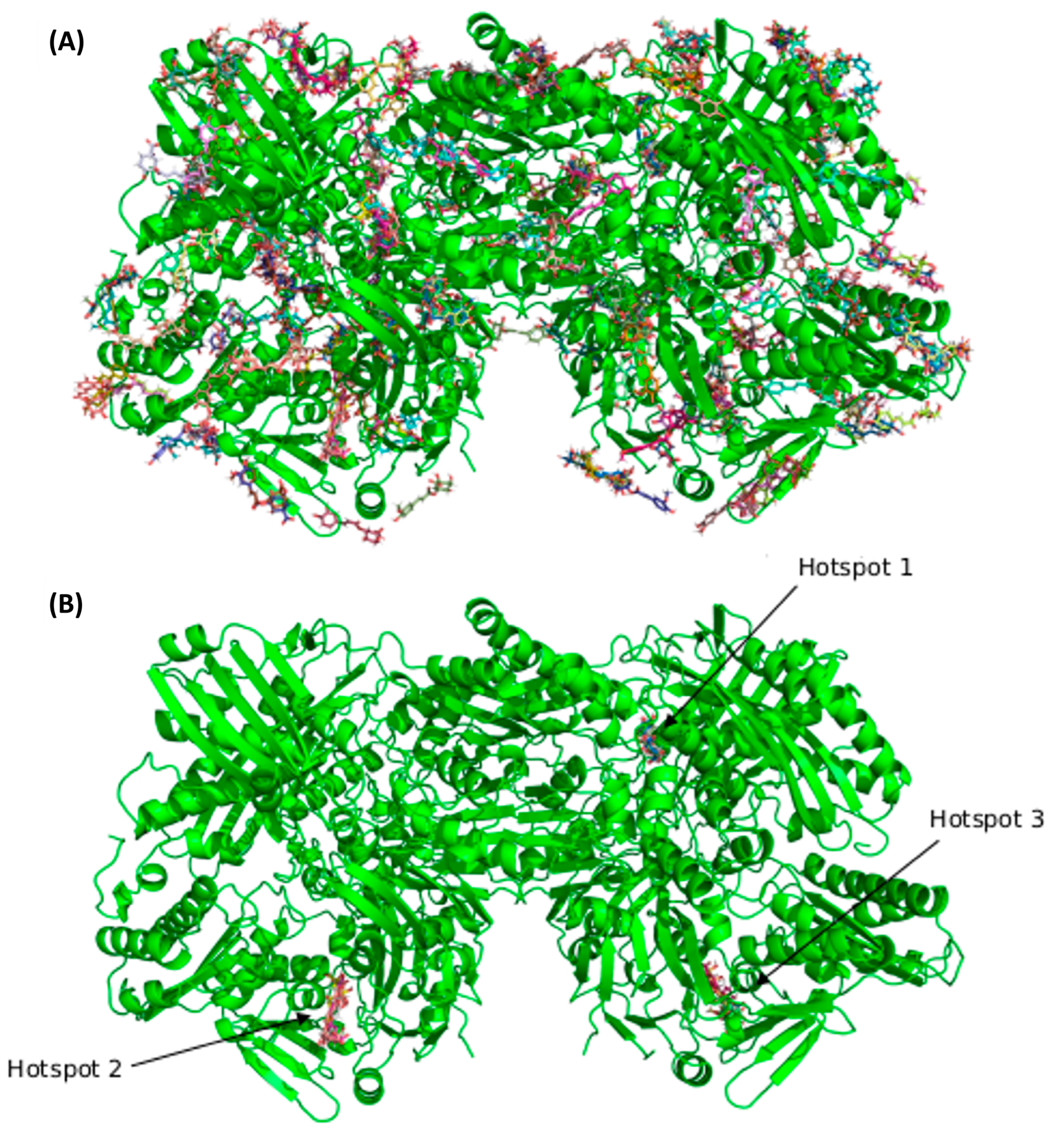 Antioxidants 12 01669 g006