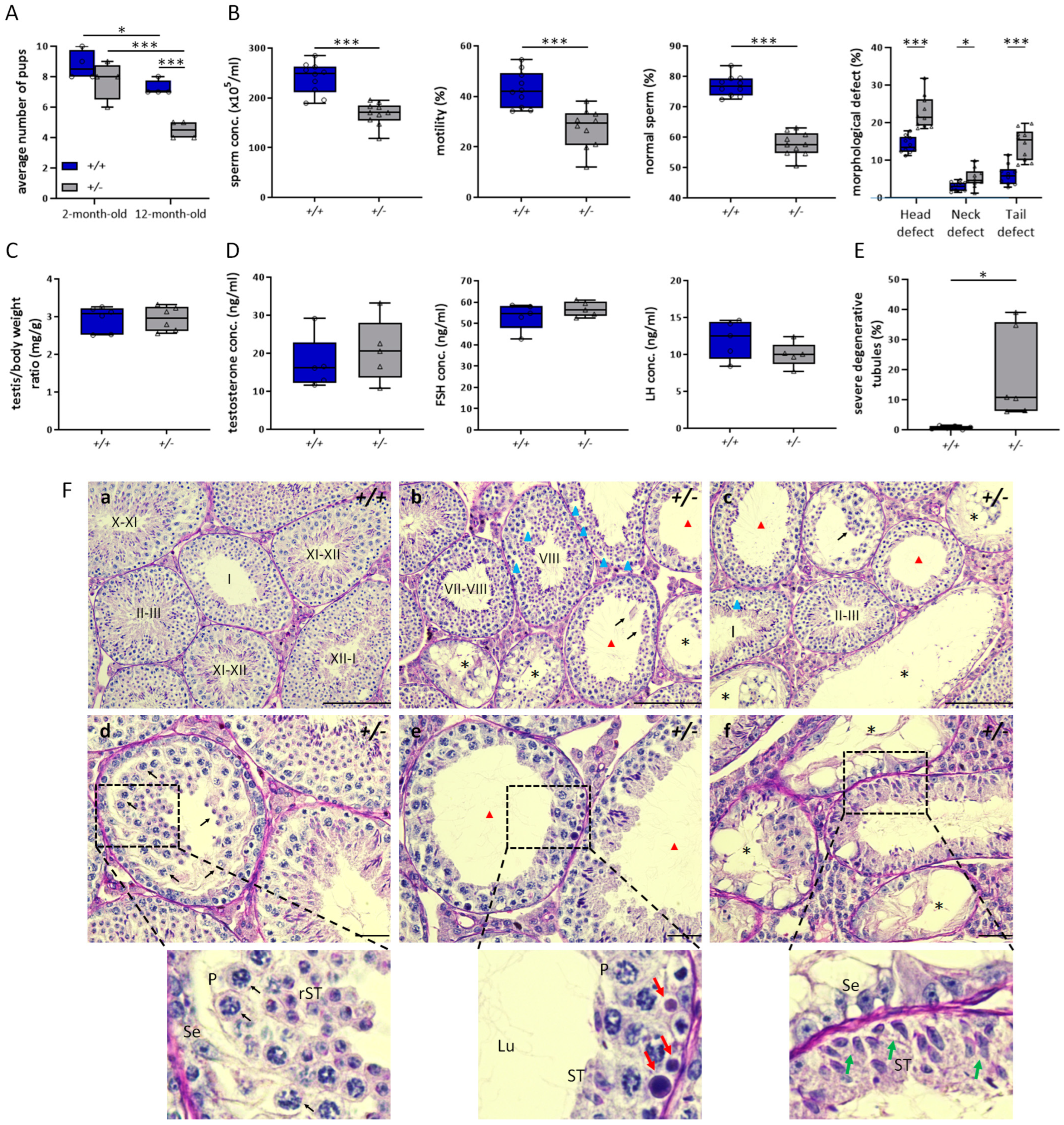 Antioxidants 12 01671 g001