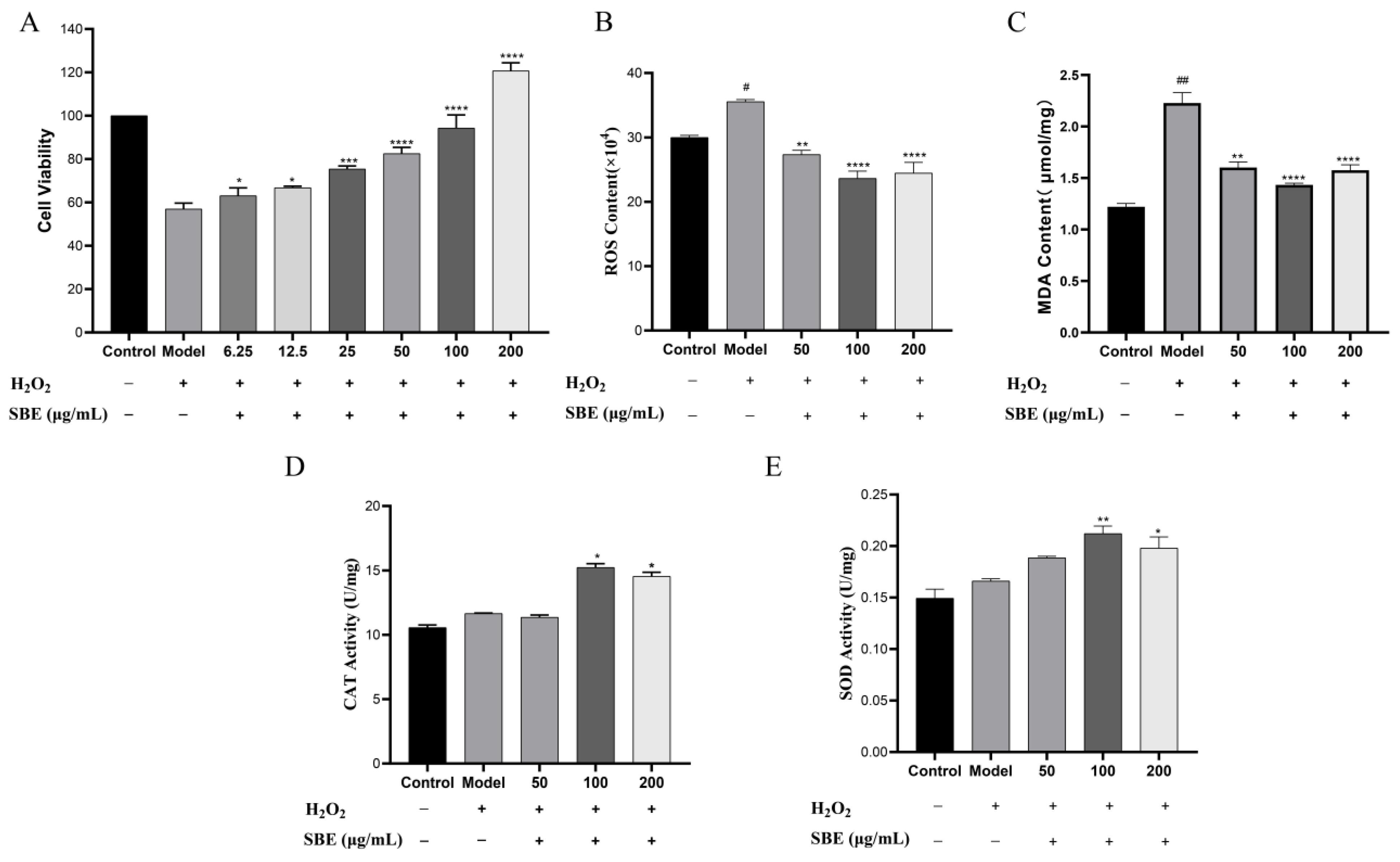 Antioxidants 12 01677 g001