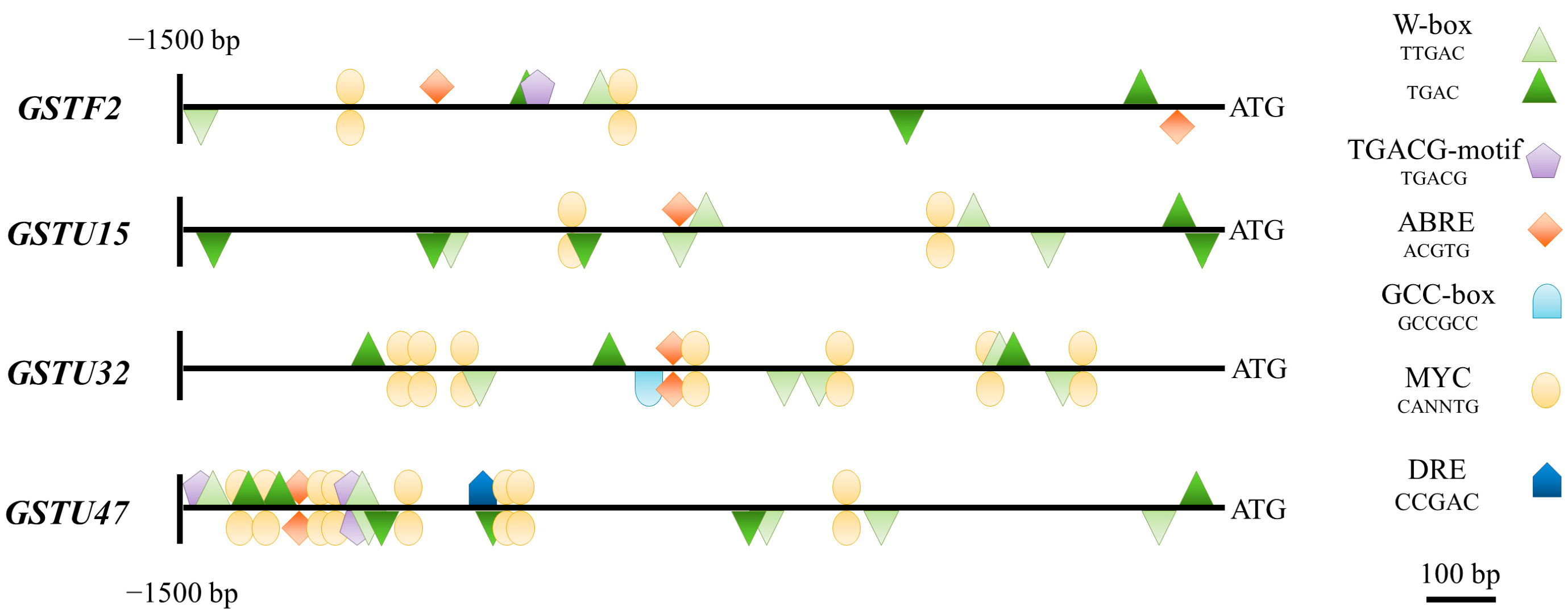 Antioxidants 12 01682 g007