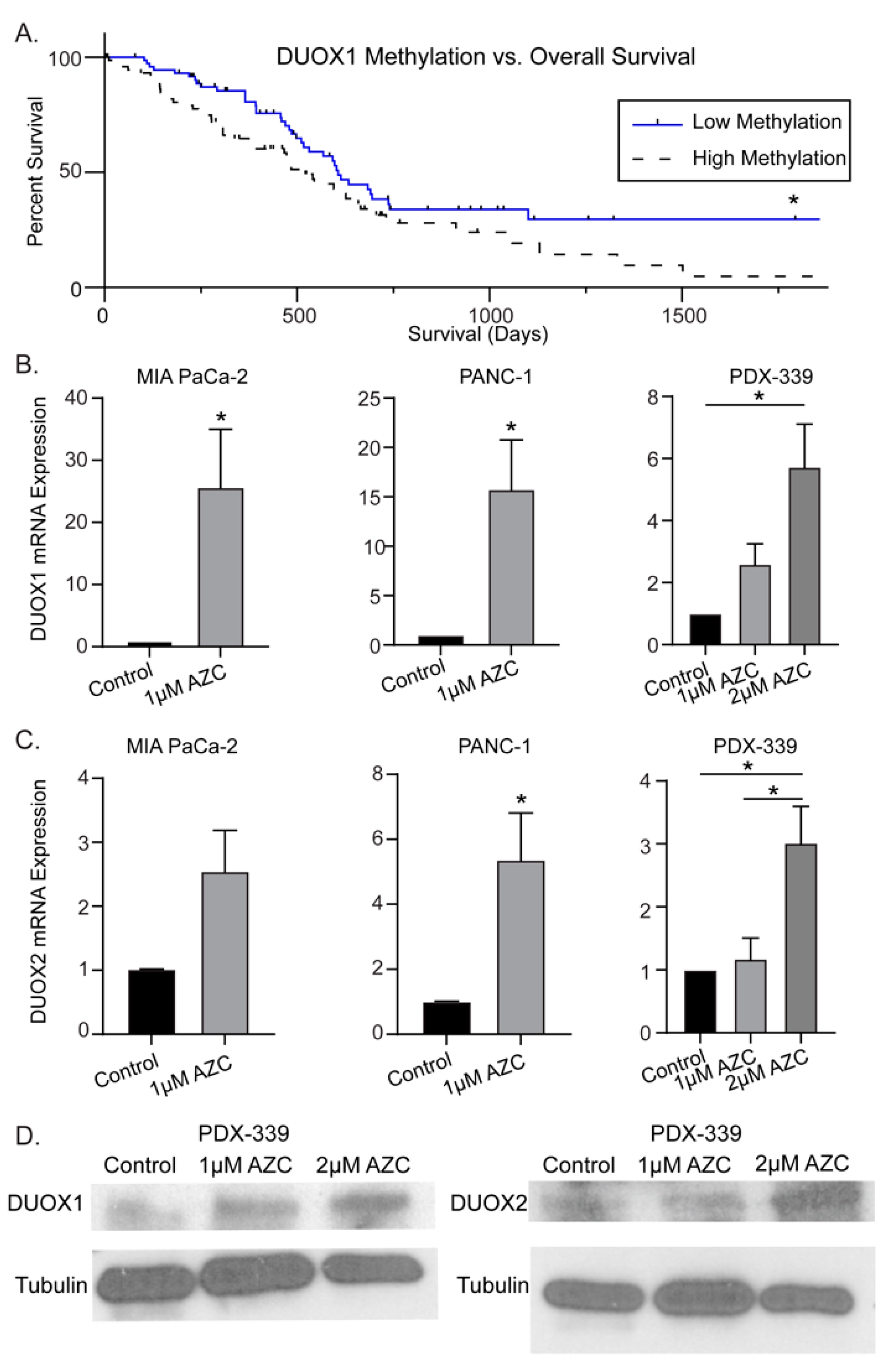 Antioxidants 12 01683 g001