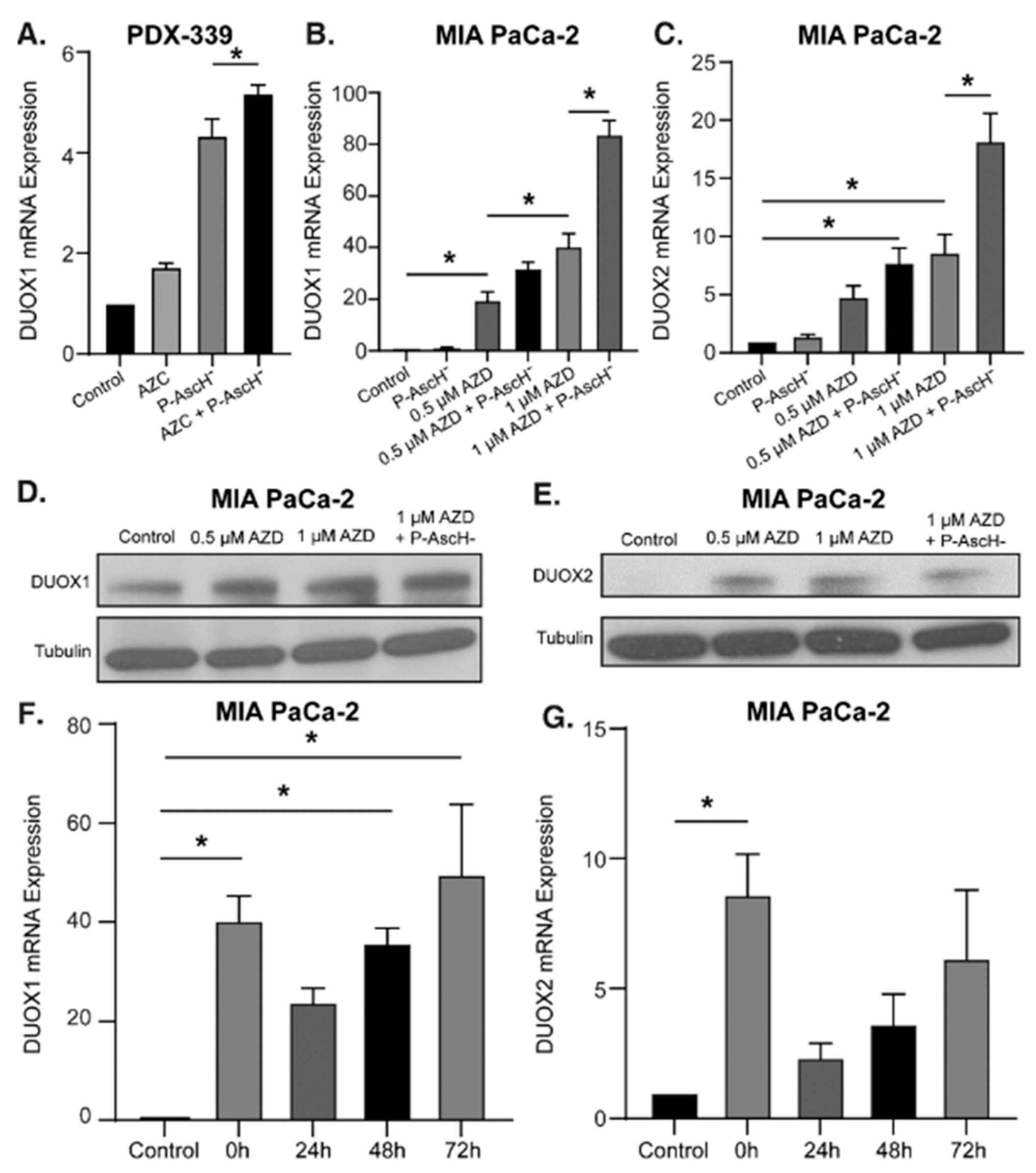 Antioxidants 12 01683 g002