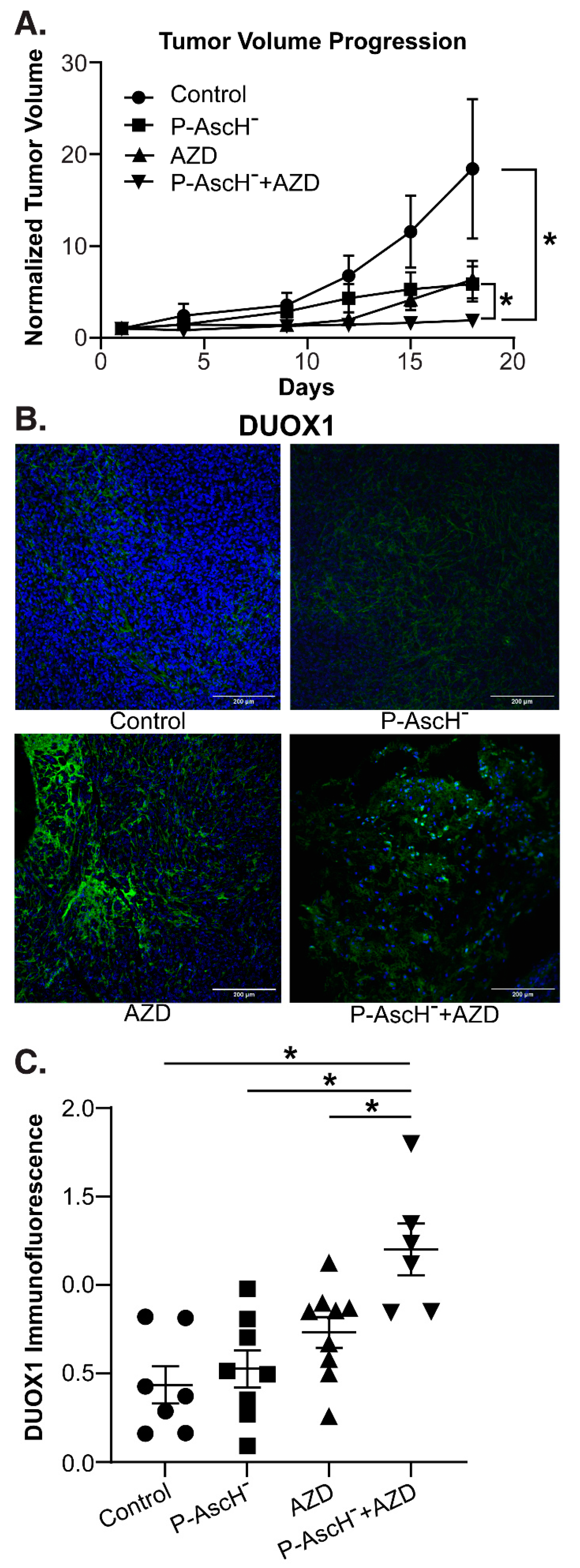 Antioxidants 12 01683 g005