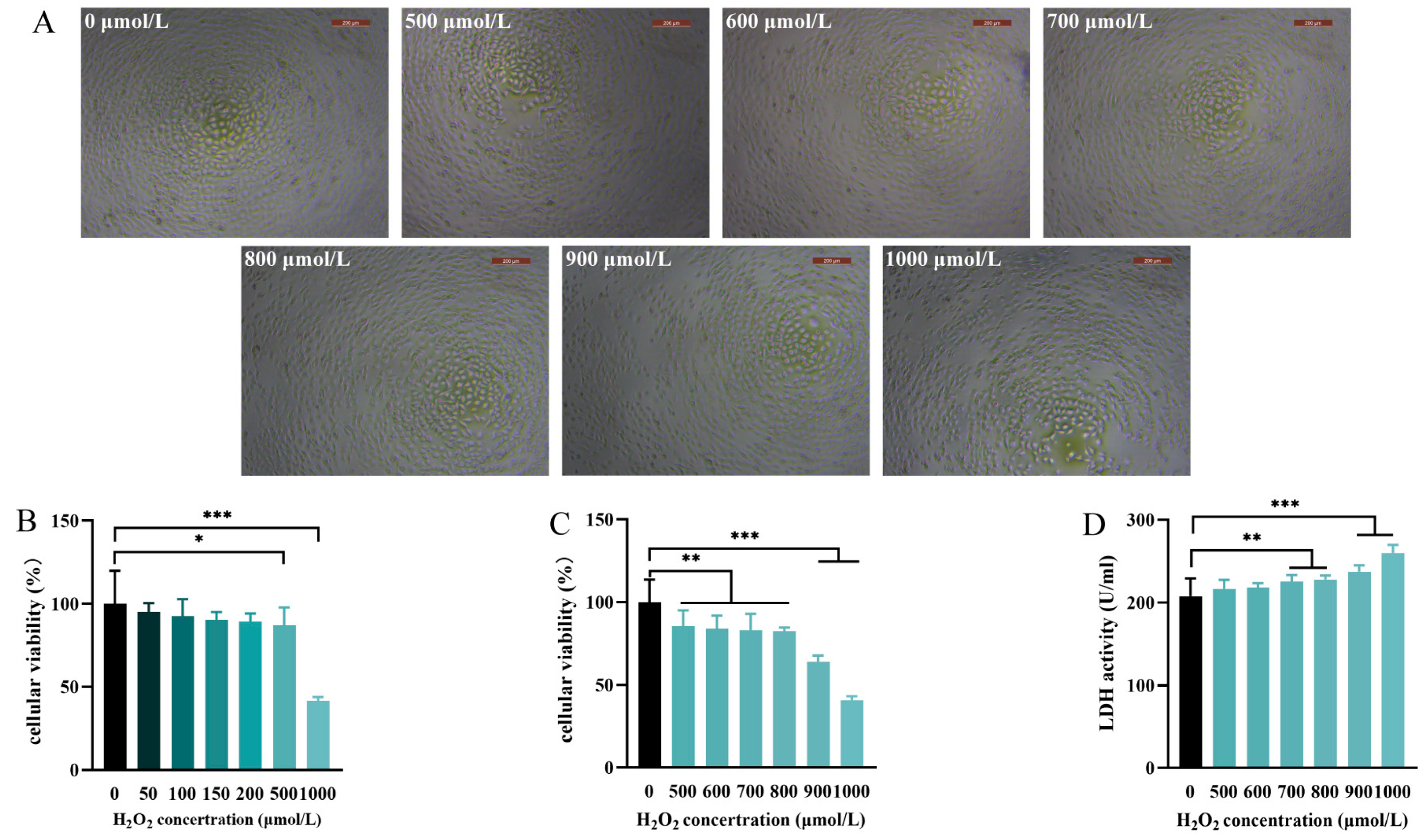 Antioxidants 12 01685 g003 Antioxidants 12 01685 g003