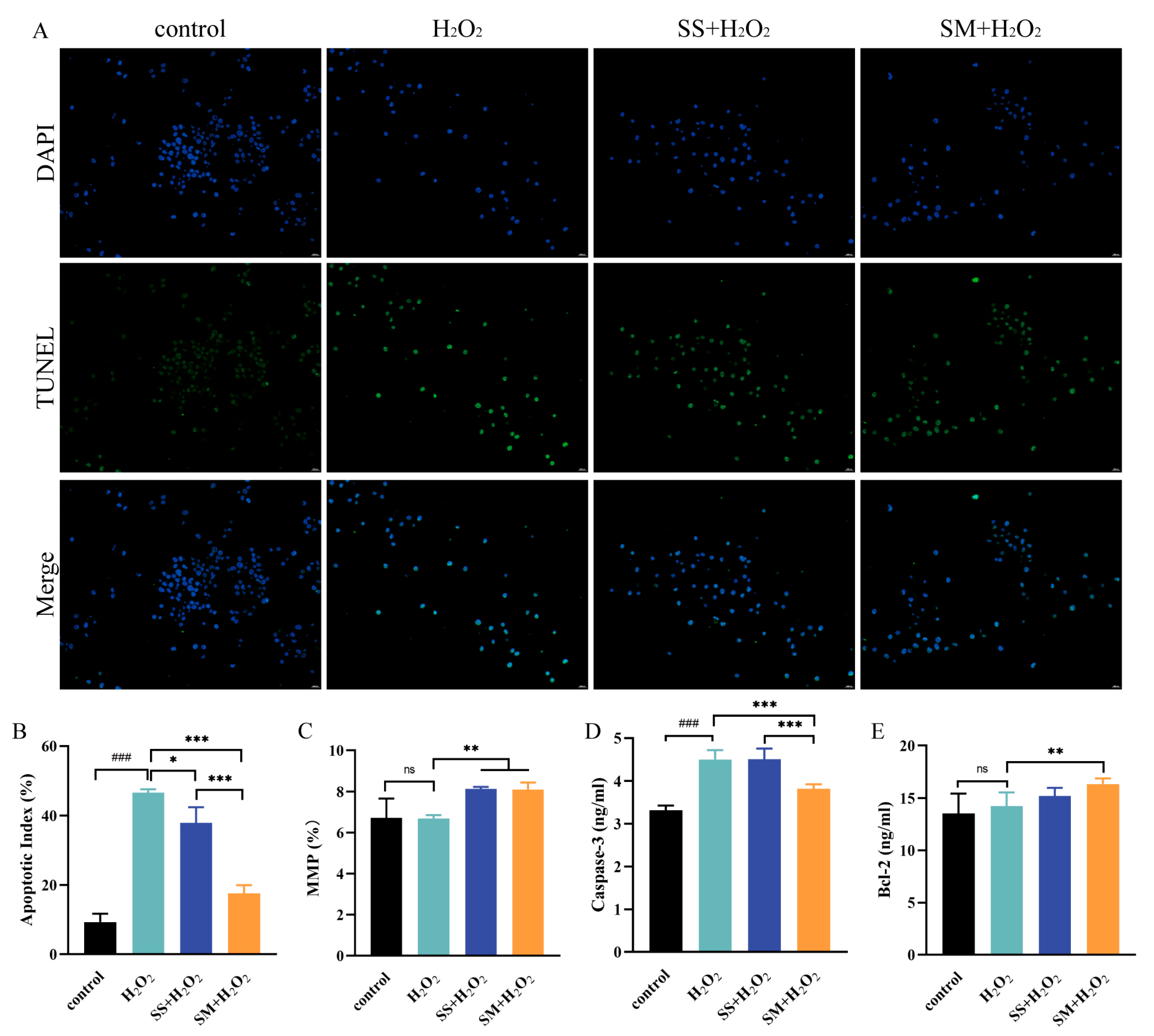 Antioxidants 12 01685 g006 Antioxidants 12 01685 g006