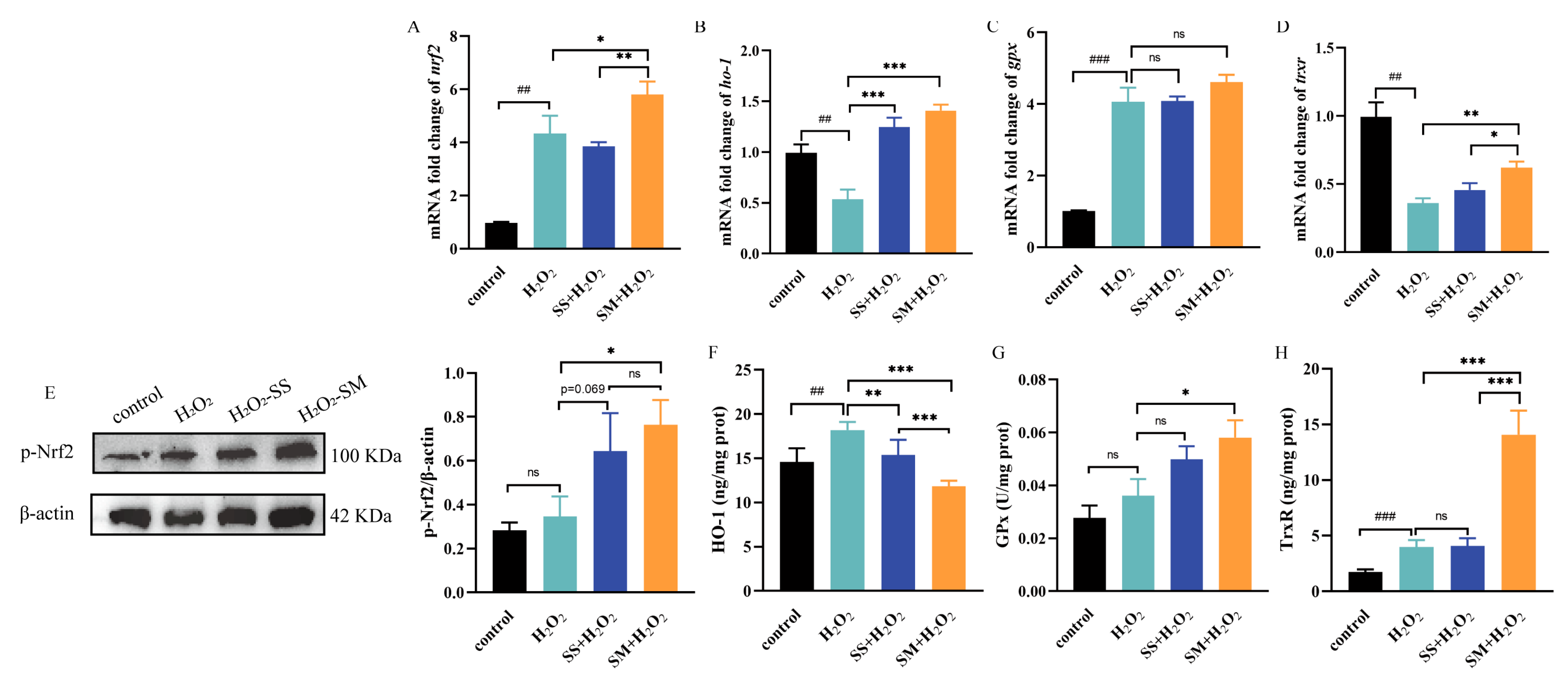Antioxidants 12 01685 g007 Antioxidants 12 01685 g007