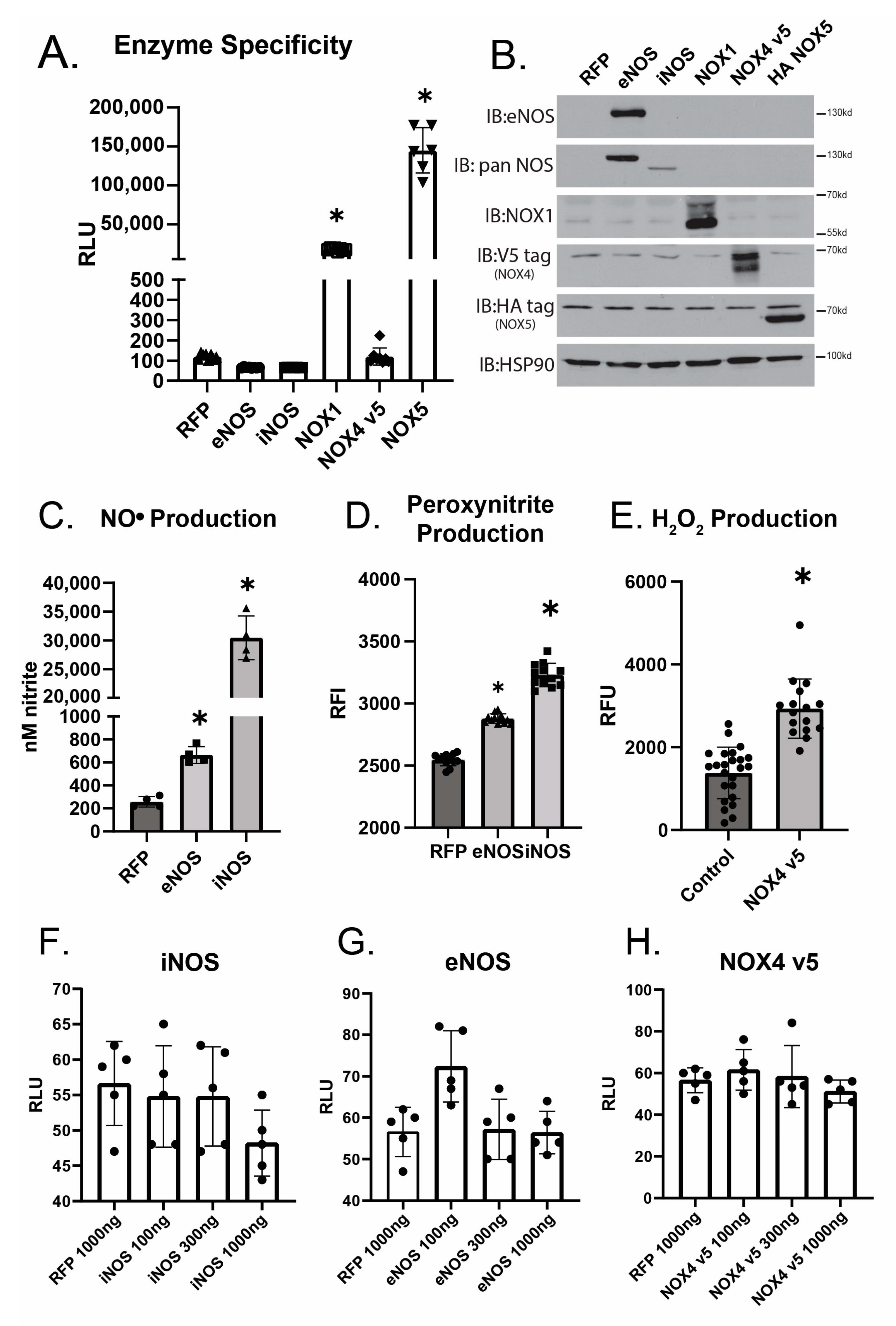 Antioxidants 12 01689 g003 Antioxidants 12 01689 g003