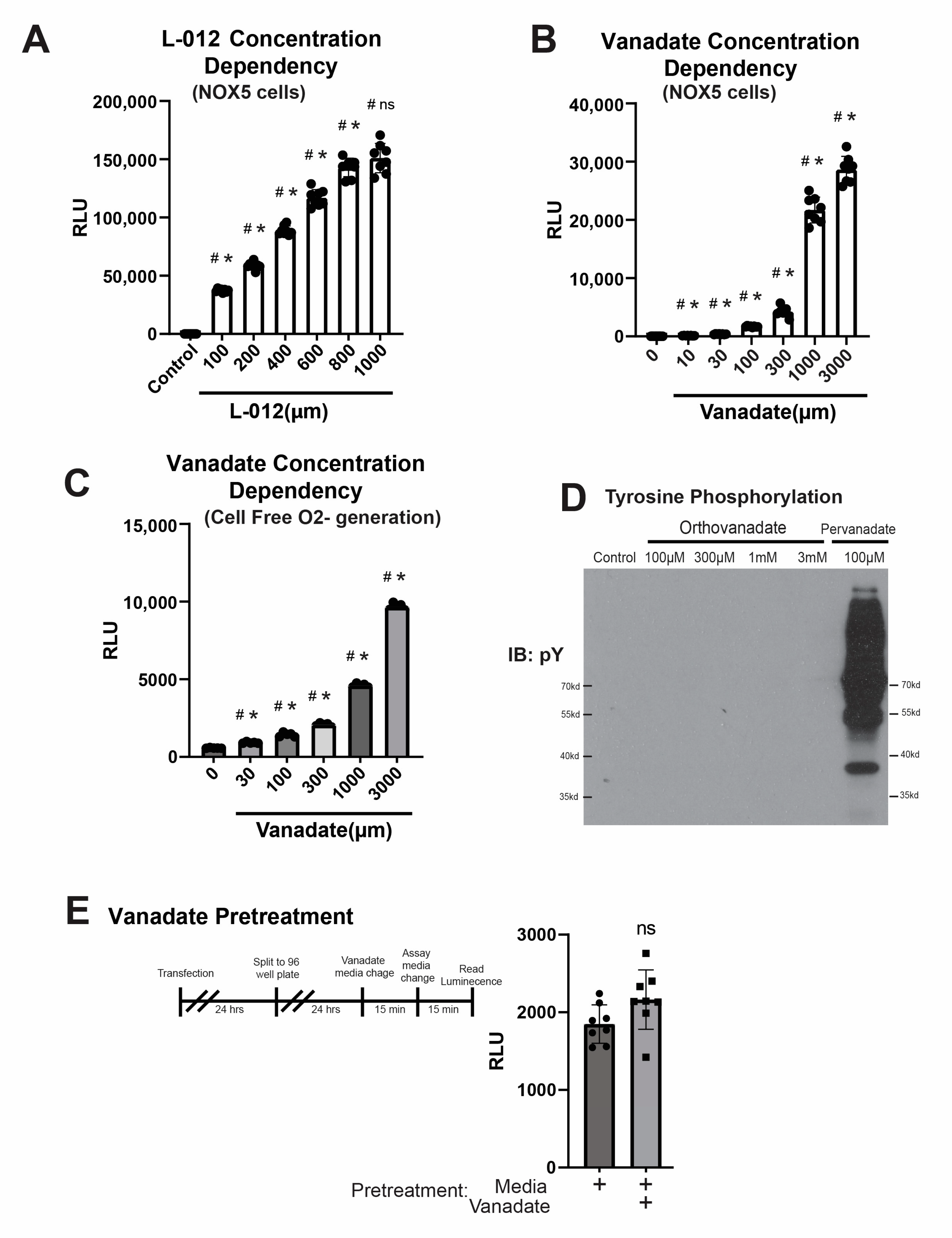 Antioxidants 12 01689 g005 Antioxidants 12 01689 g005