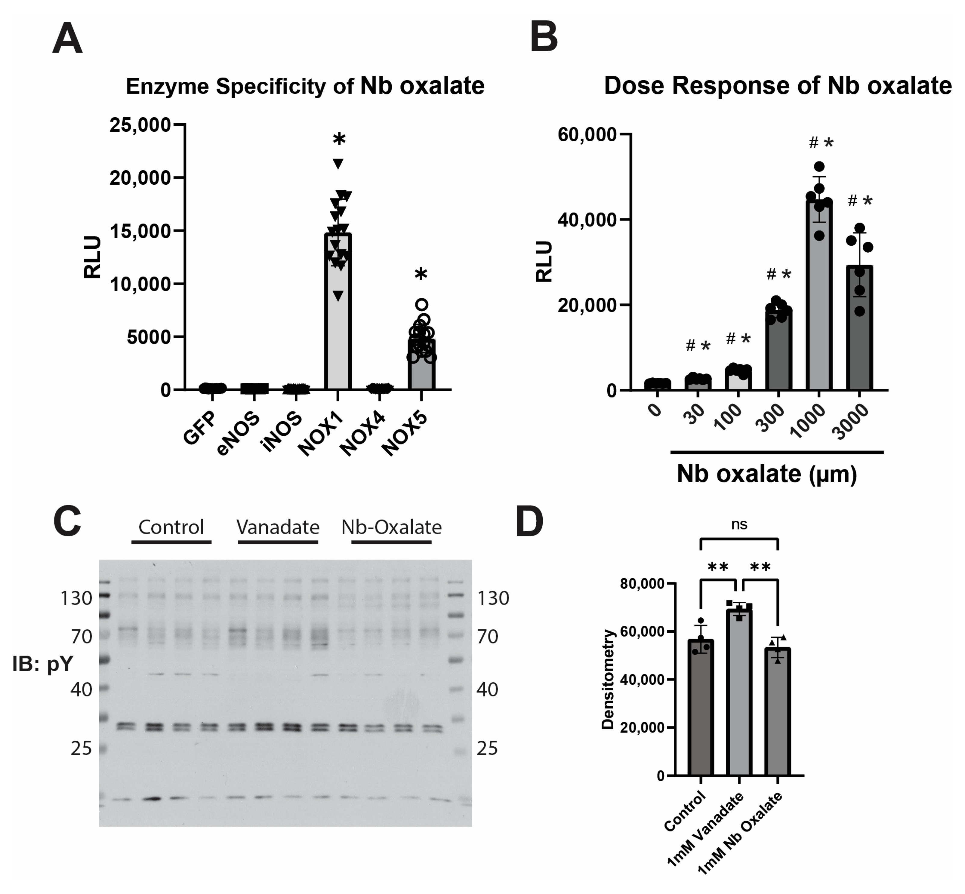 Antioxidants 12 01689 g006 Antioxidants 12 01689 g006