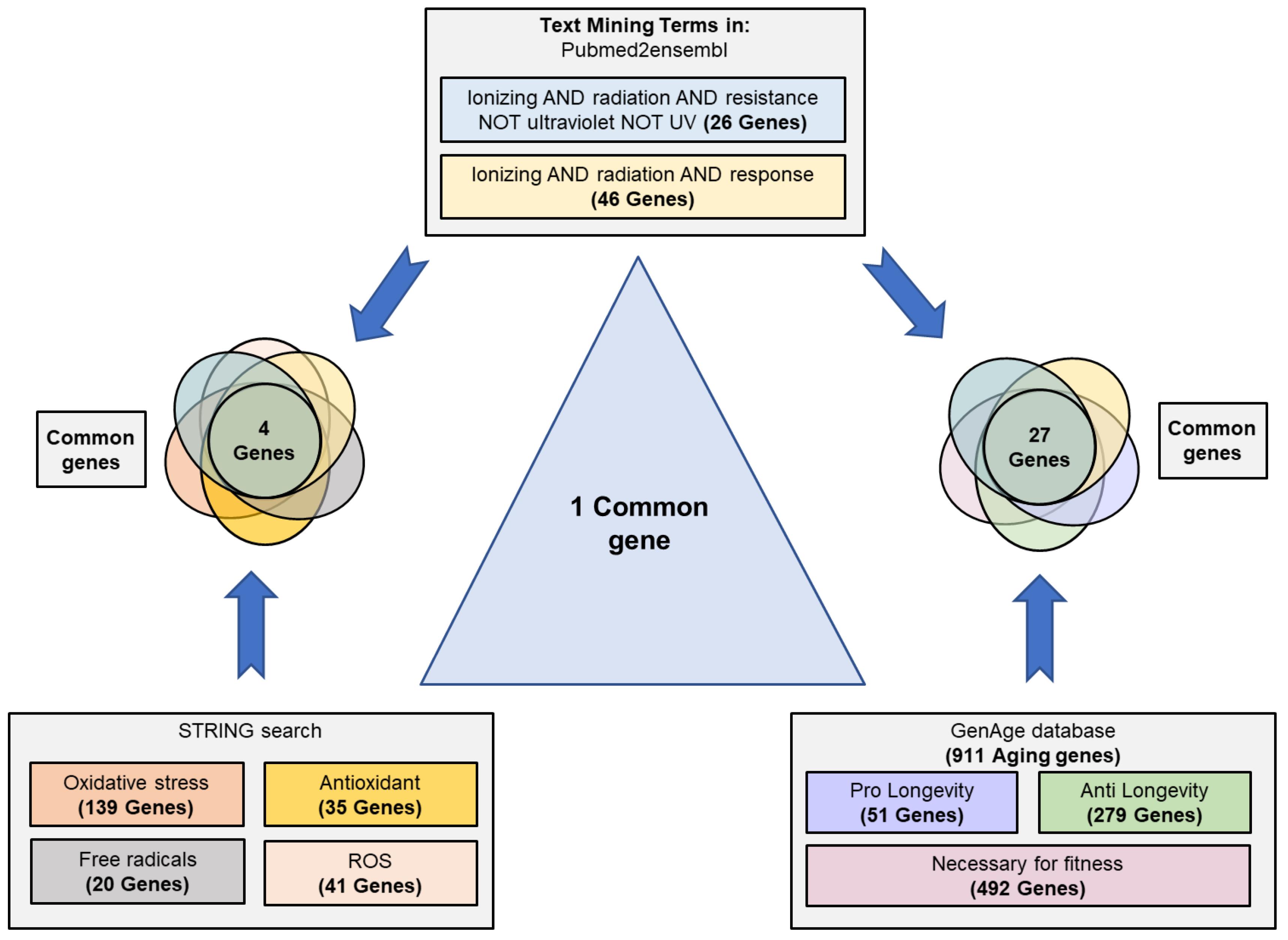 Antioxidants 12 01690 g002