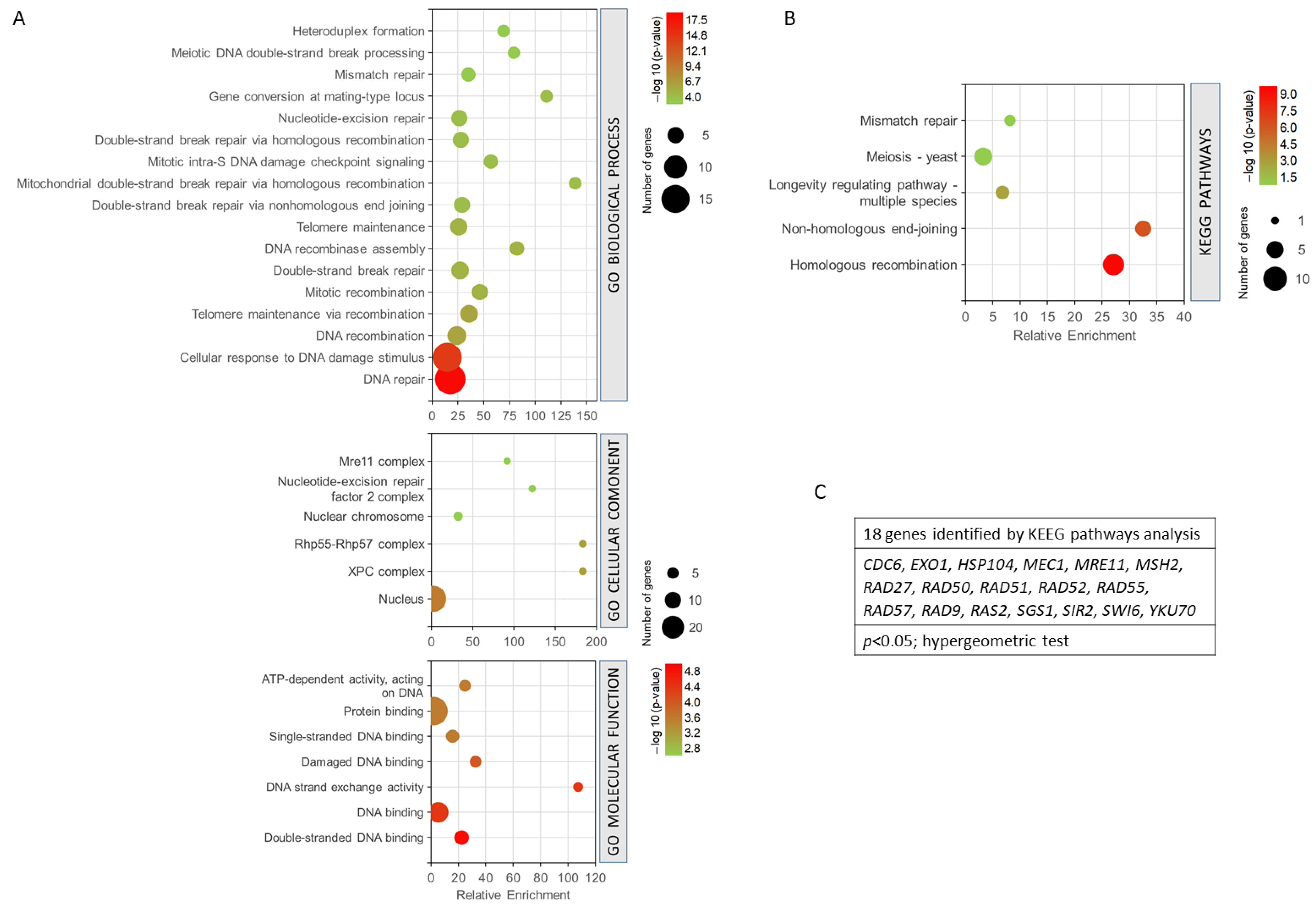 Antioxidants 12 01690 g004