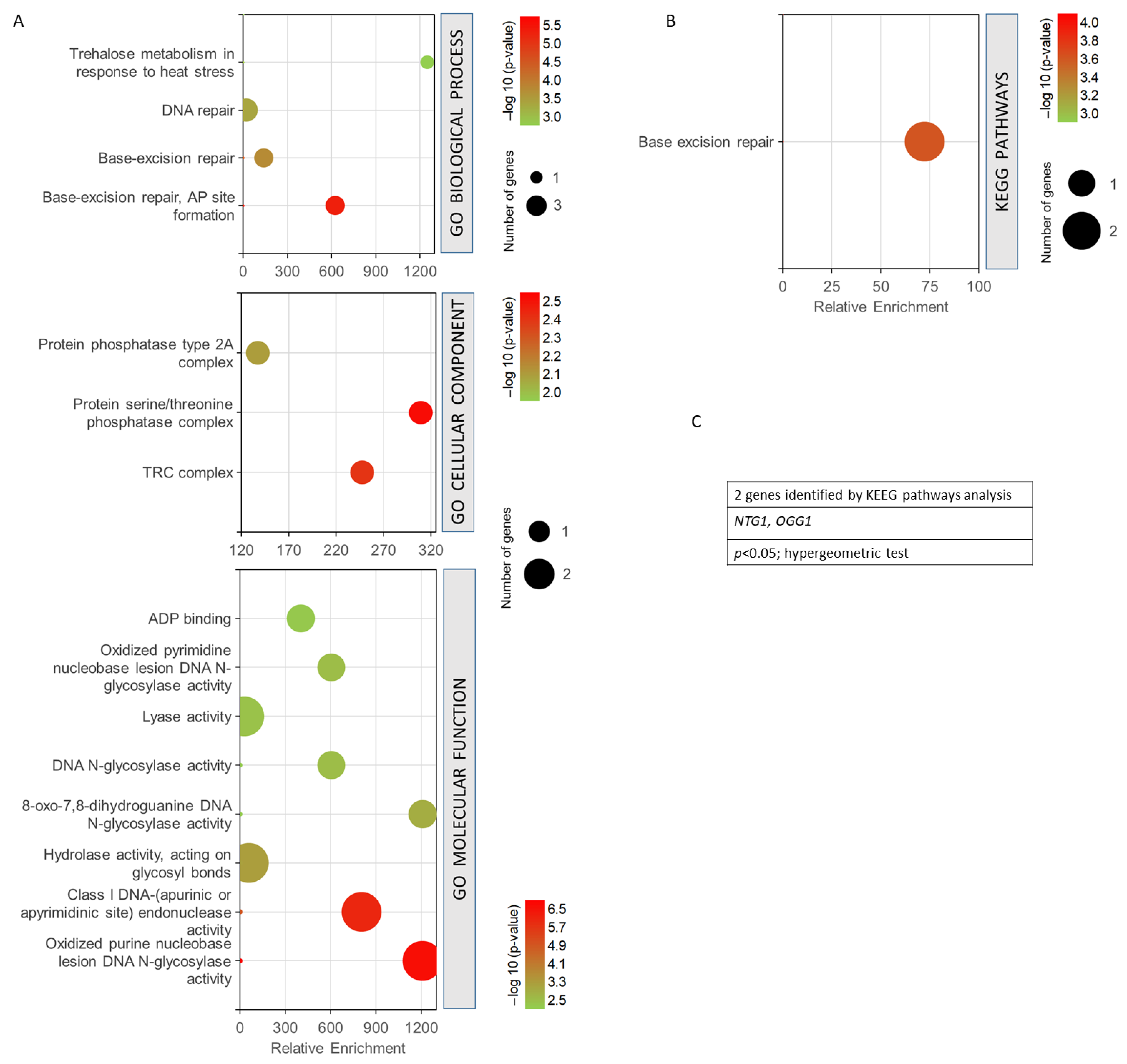 Antioxidants 12 01690 g005